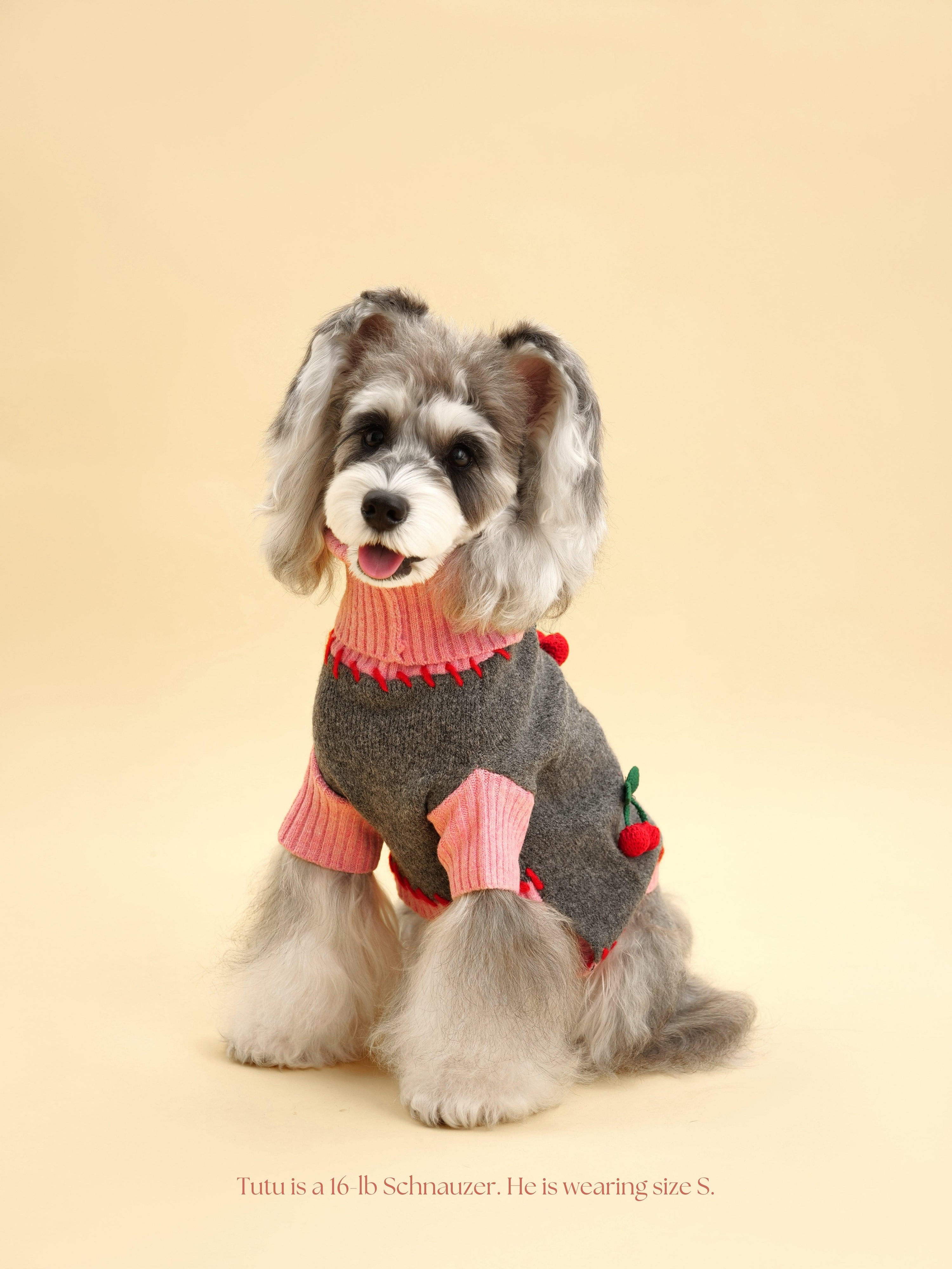 Cherry Kiss Sweater