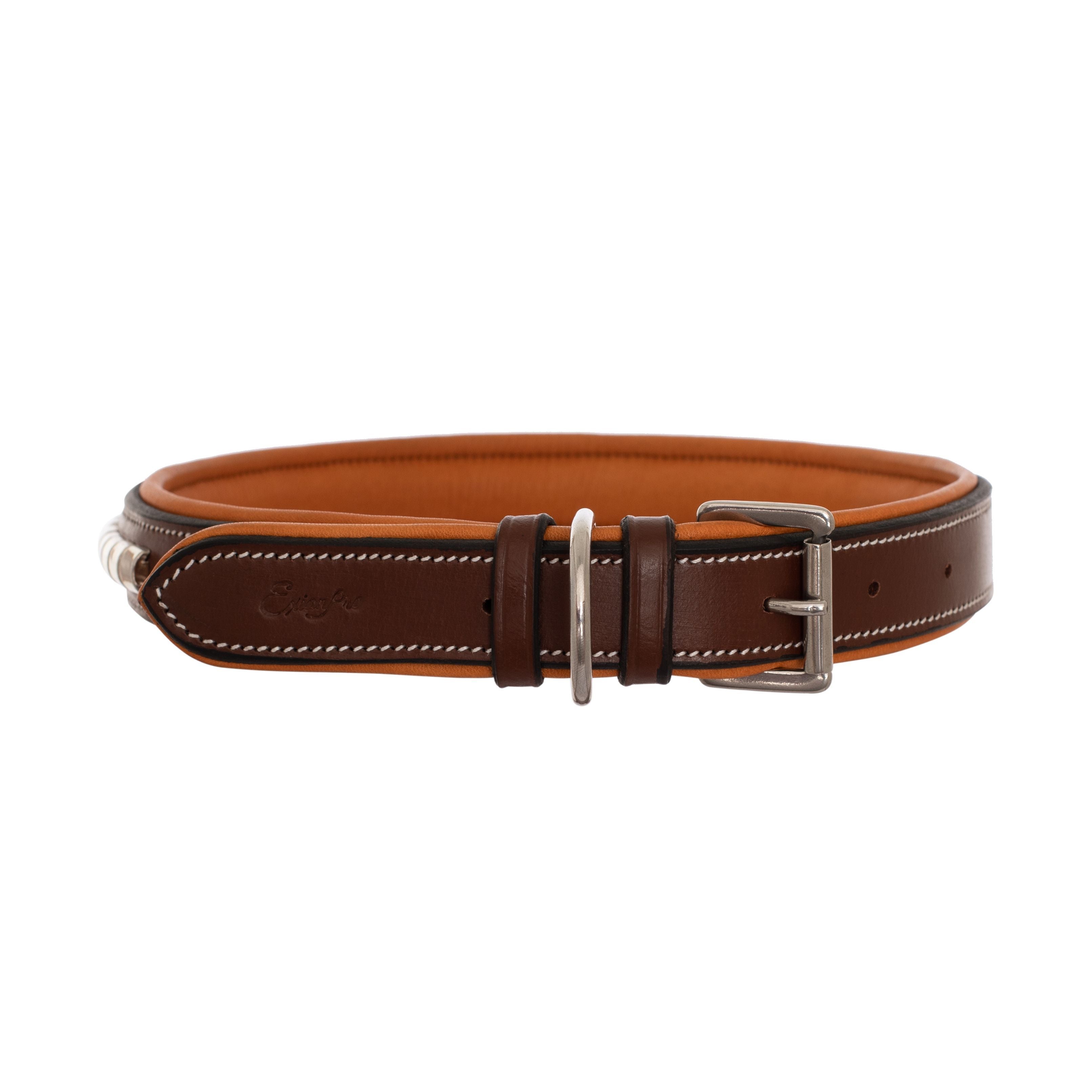 ExionPro Silver Clincher Padded Leather Dog Collar - Conker Padding