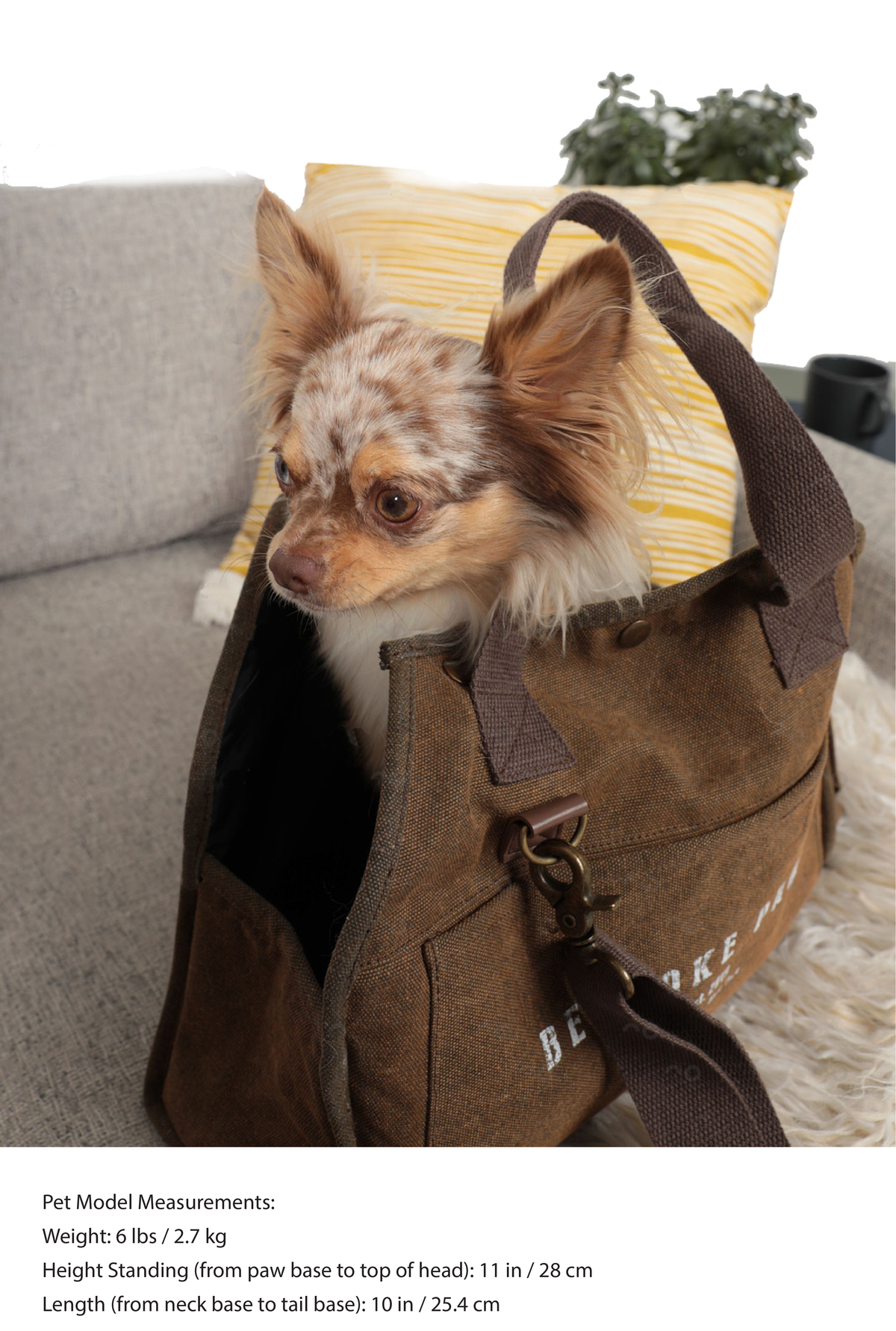 BESPOKE PAWS The Daily Carrier - Packable Luxury for Life on the Go Pet Carrier | HT Animal Supply