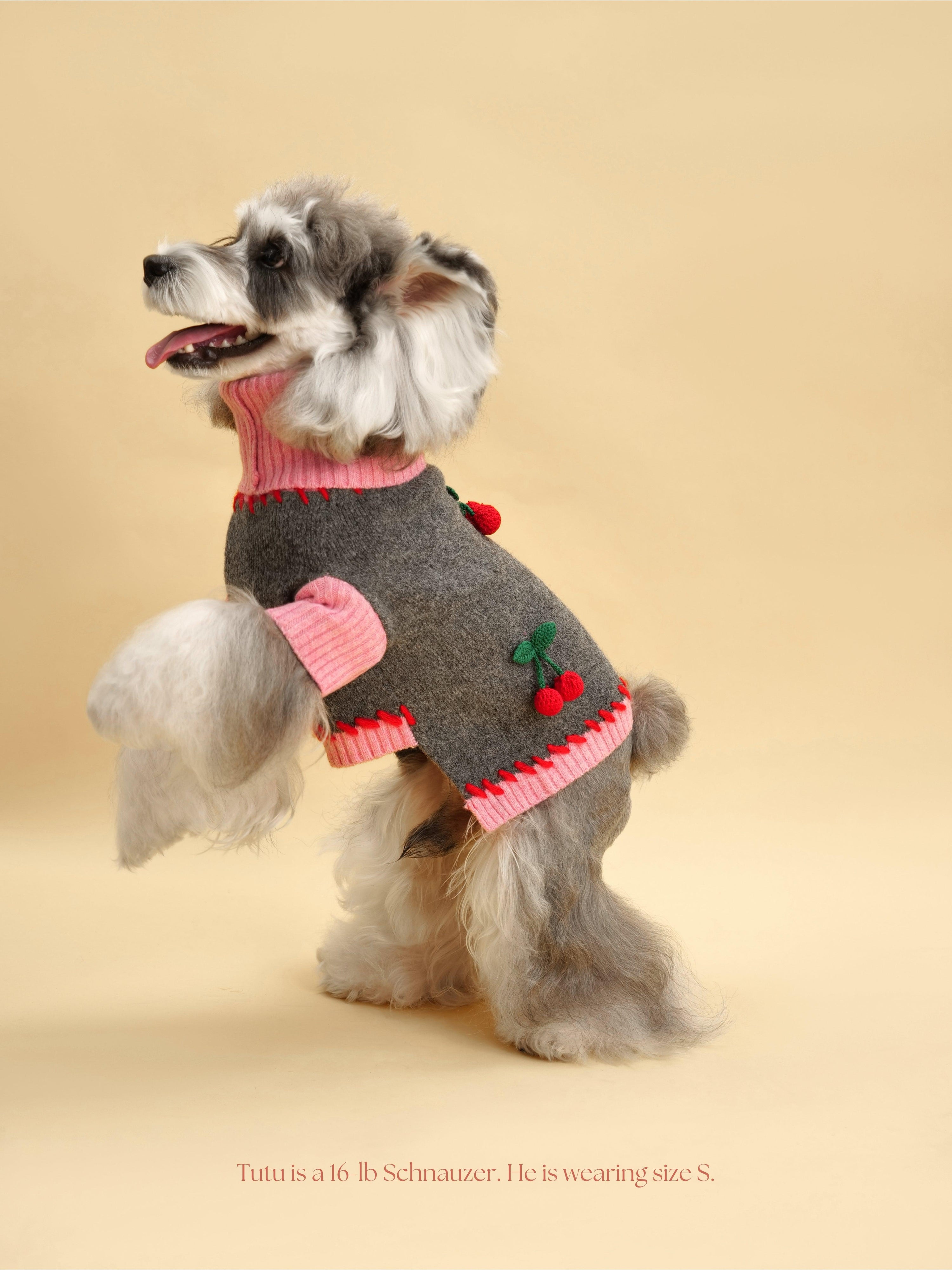 Cherry Kiss Sweater