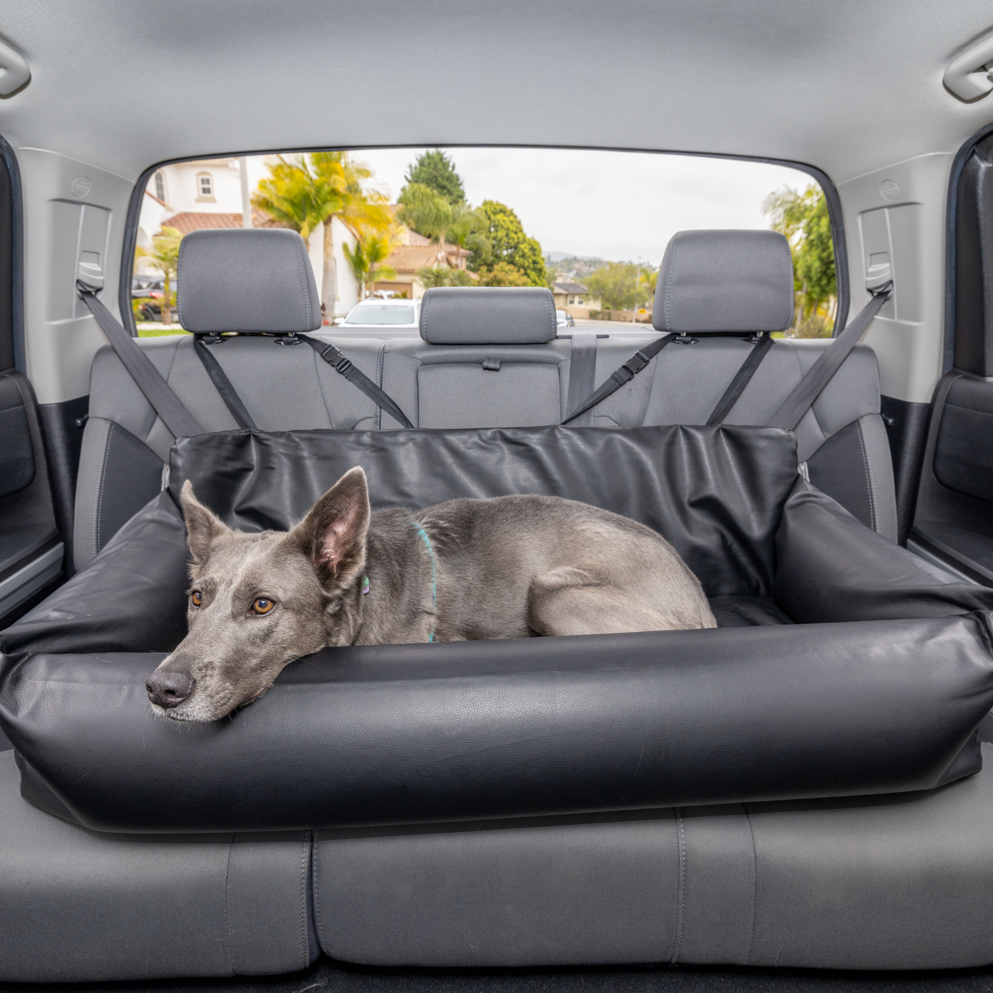 Pupprotector Faux Leather Memory Foam Dog Car Bed Black