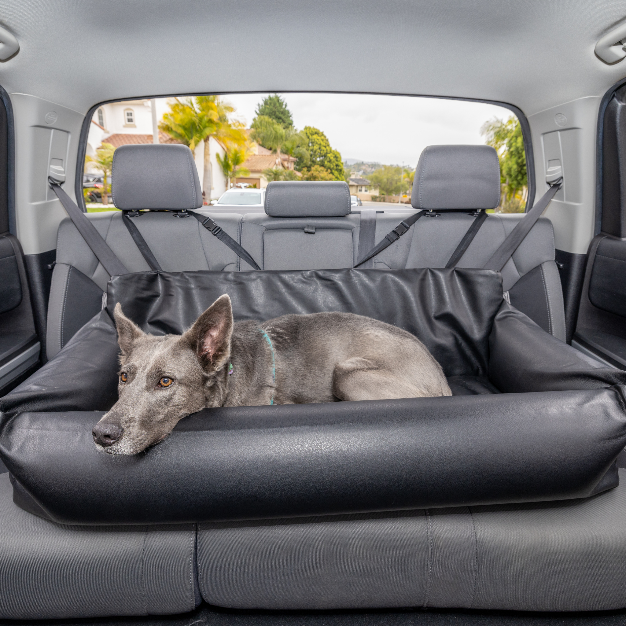 Pupprotector Faux Leather Memory Foam Dog Car Bed Black