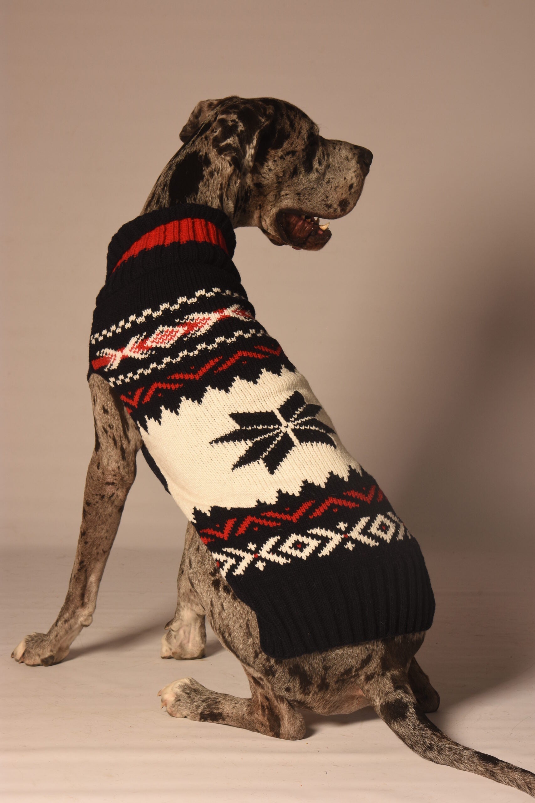 Navy Vail Dog Sweater