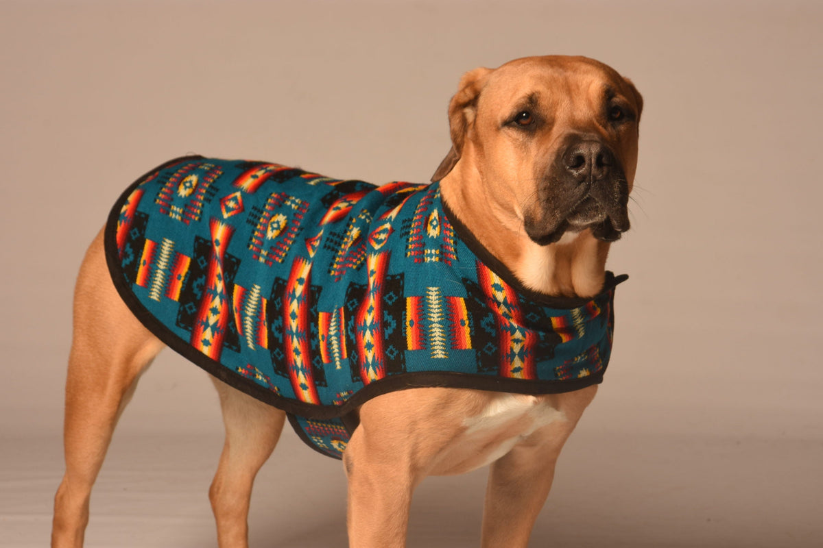 Chilly Dog Turquoise Southwest Blanket Dog Coat