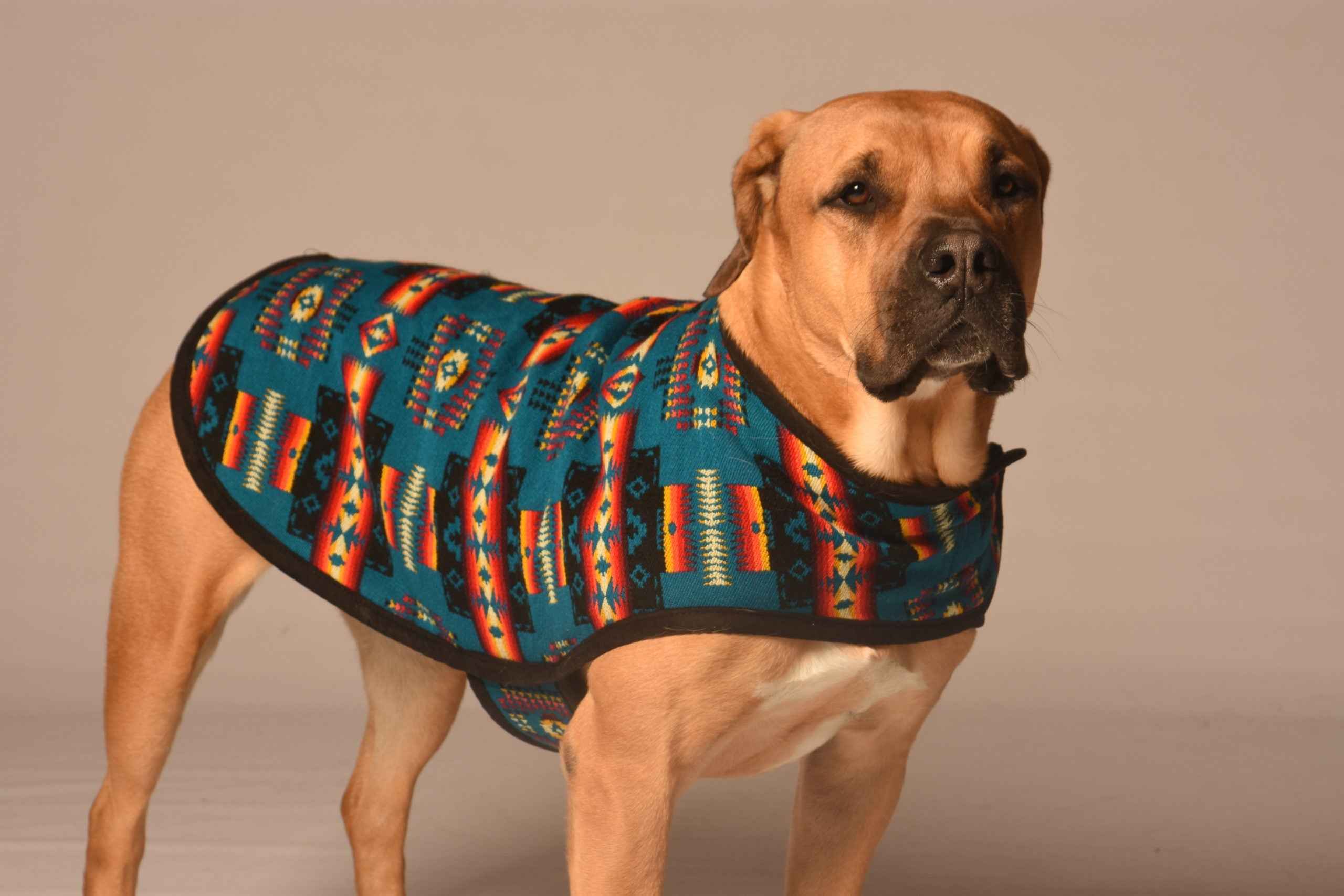 Chilly Dog Turquoise Southwest Fleece-Lined Dog Blanket Coat