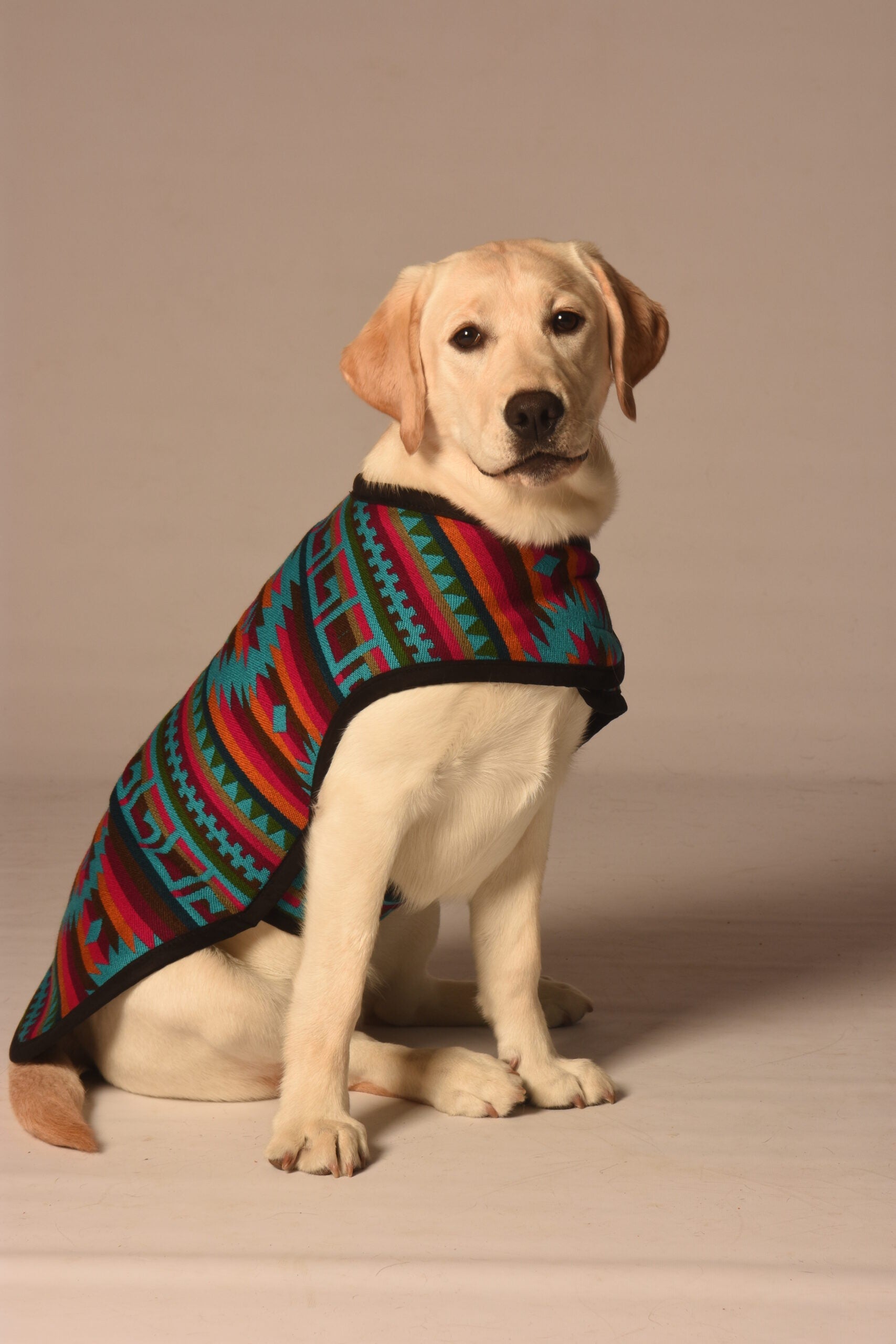 Chilly Dog Desert Rose Wool Blanket Dog Coat