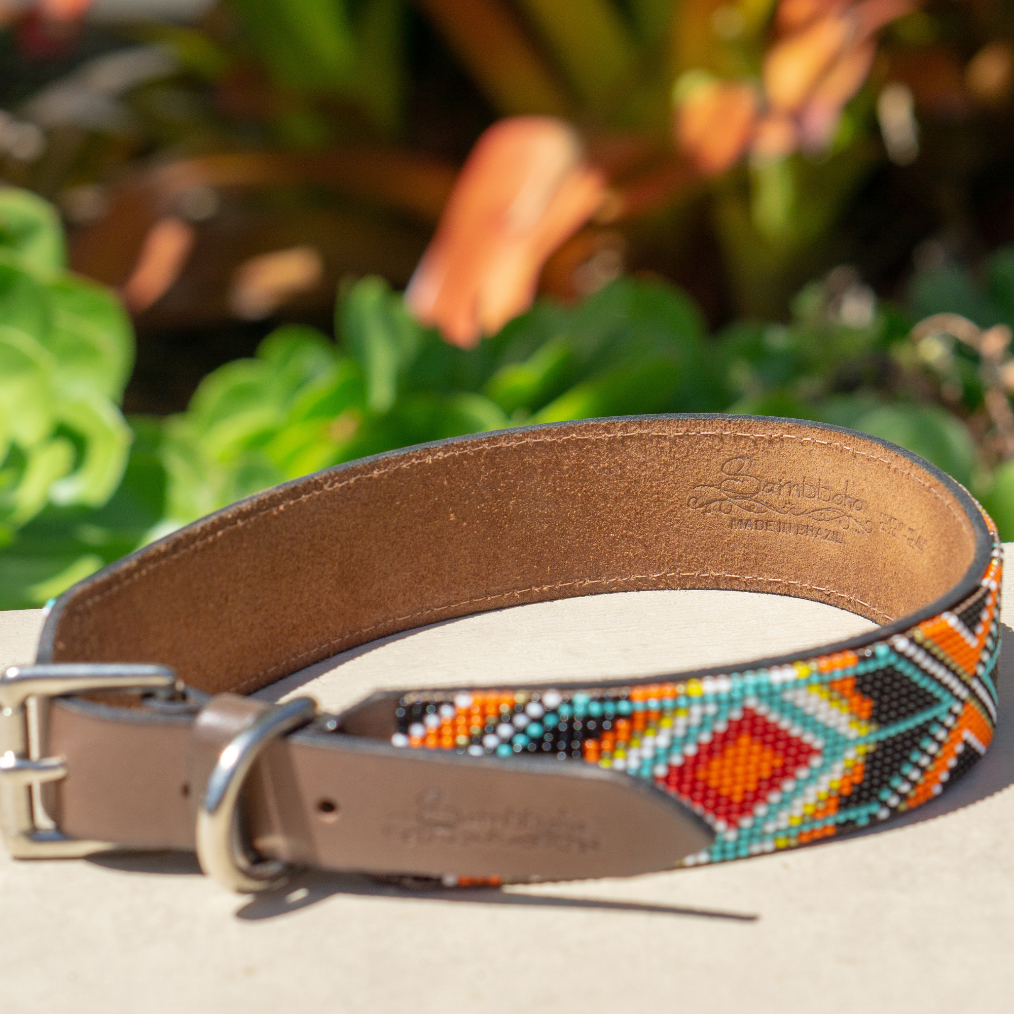 Biarritz Sambboho dog collar