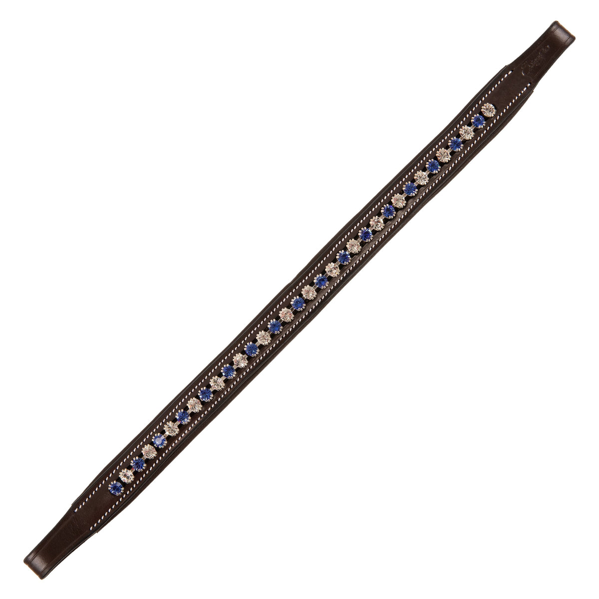 ExionPro Elegant Blue & Clear Crystal Browband | HT Animal Supply