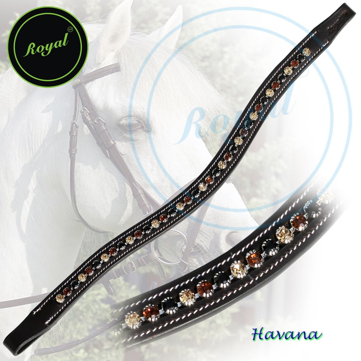 ExionPro Dual Colored Glittering Brown, Black and Golden Crystal Browband | HT Animal Supply