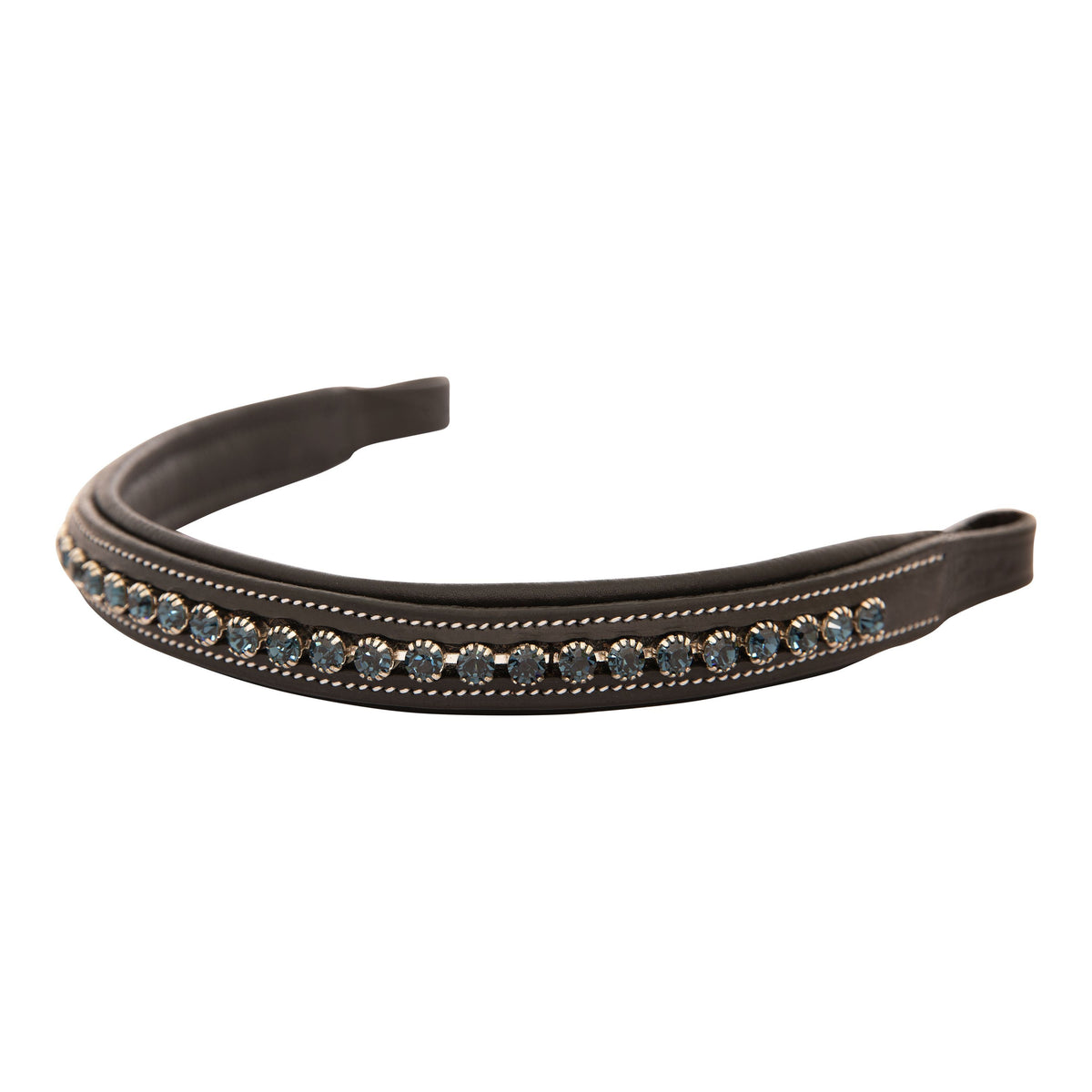 ExionPro Montana Blue Crystal Browband | HT Animal Supply