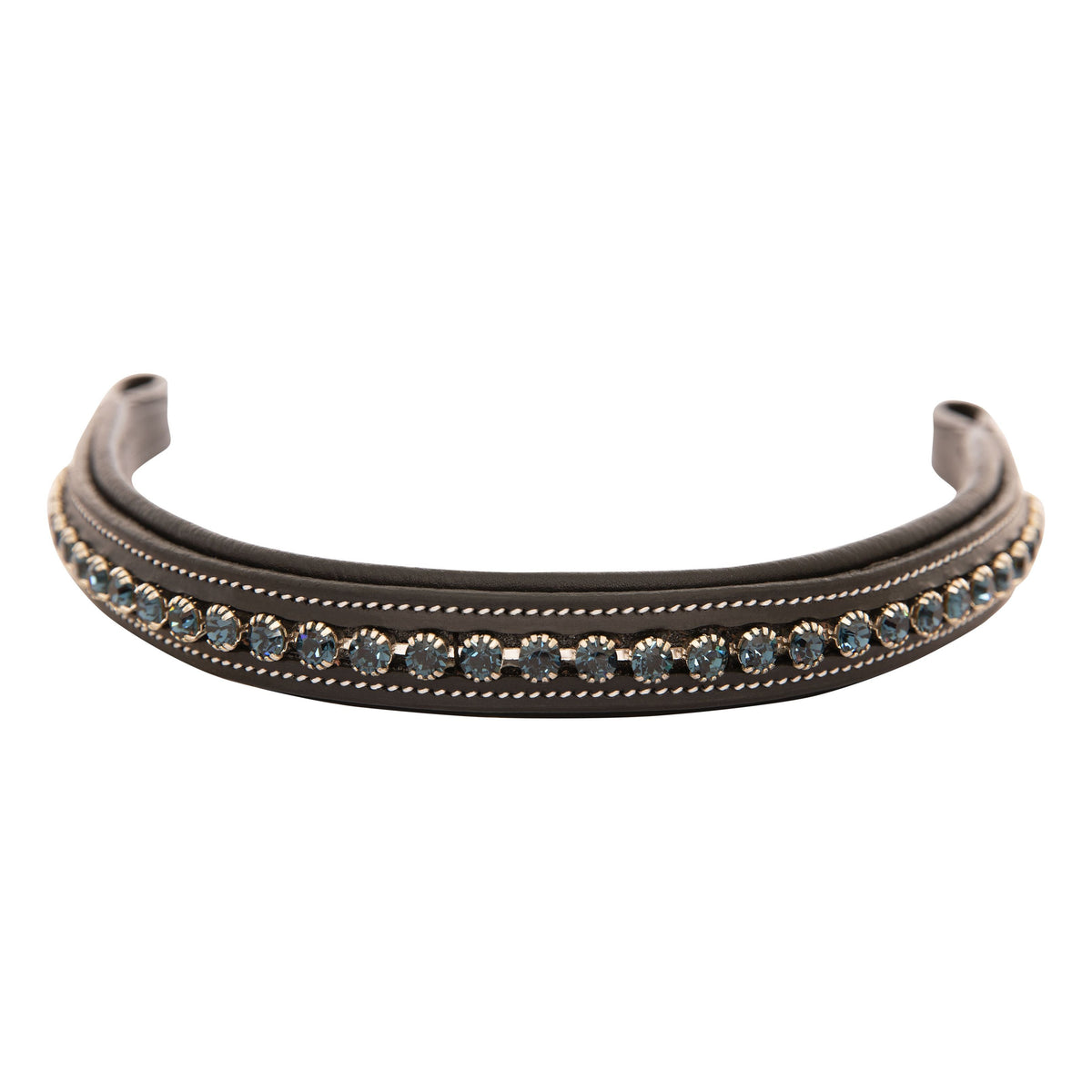 ExionPro Montana Blue Crystal Browband | HT Animal Supply