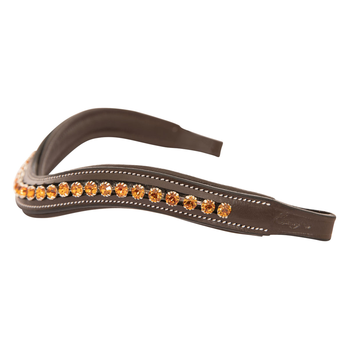 ExionPro Elegant Deep Curved Soft Padded Topaz Crystal Decorated Browband | HT Animal Supply
