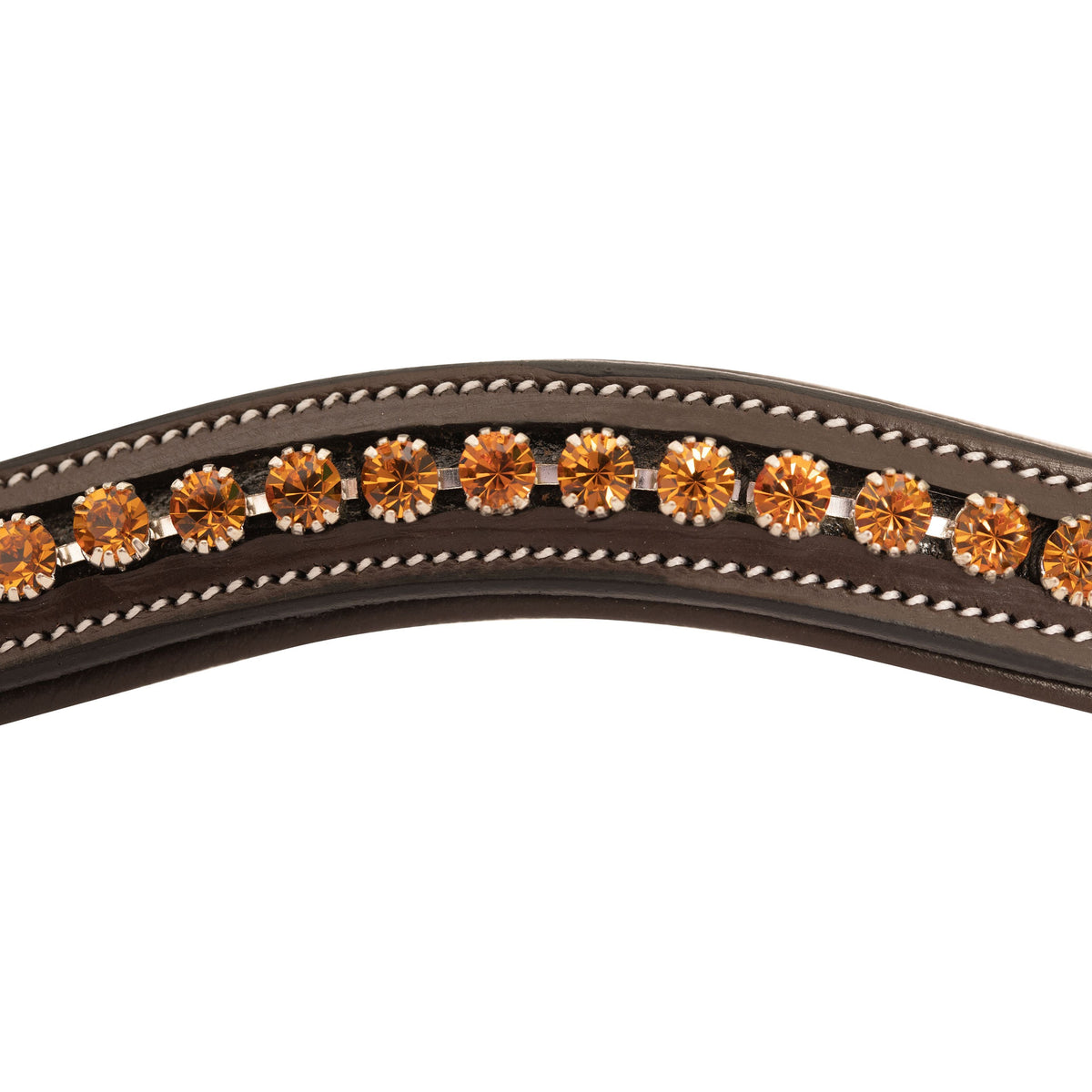 ExionPro Elegant Deep Curved Soft Padded Topaz Crystal Decorated Browband | HT Animal Supply