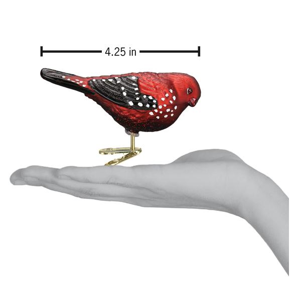Old World Christmas: Strawberry Finch Christmas Ornament