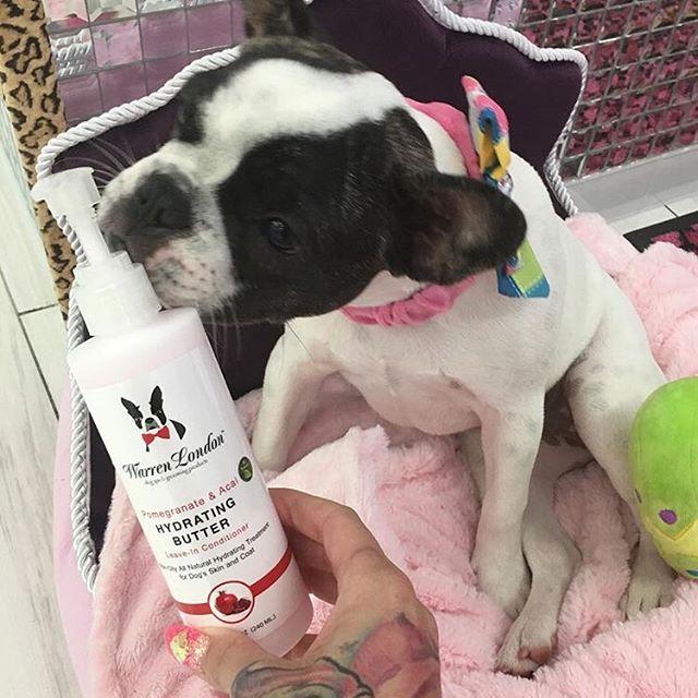 Hydrating Butter - For Dogs Skin & Coat - Leave-In Moisturizer