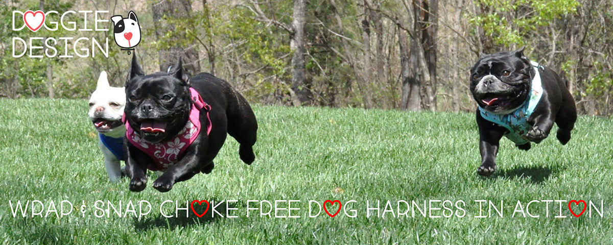 Wrap and Snap Choke Free Dog Harness by Doggie Design - Tahiti Red