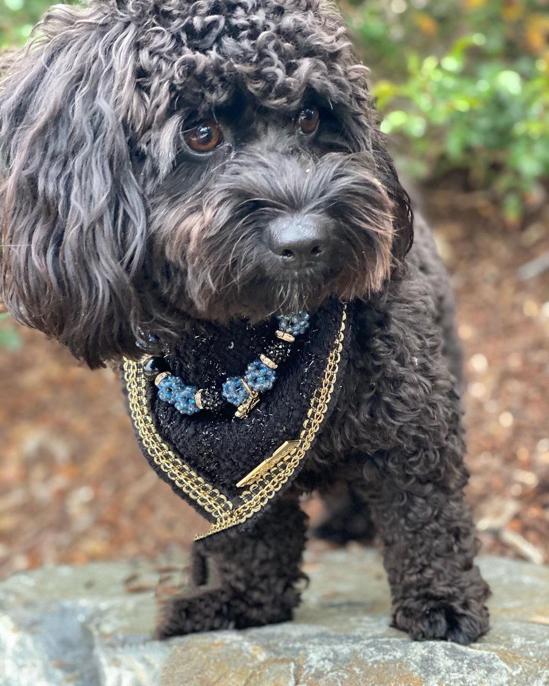 Coco Runway: Dur Cuire Bandana