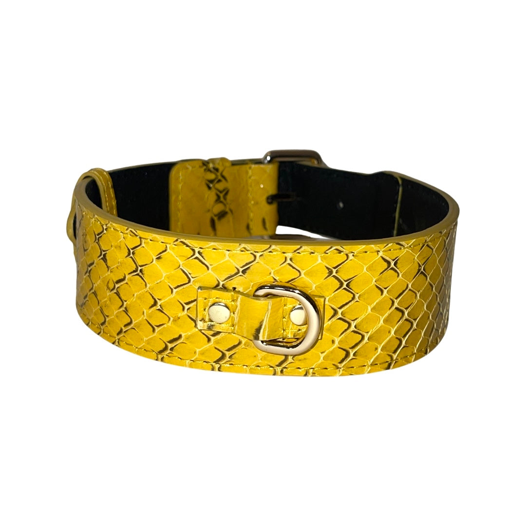 Allysa Payne Mustard Yellow & Black Snake Classic Dog Collar