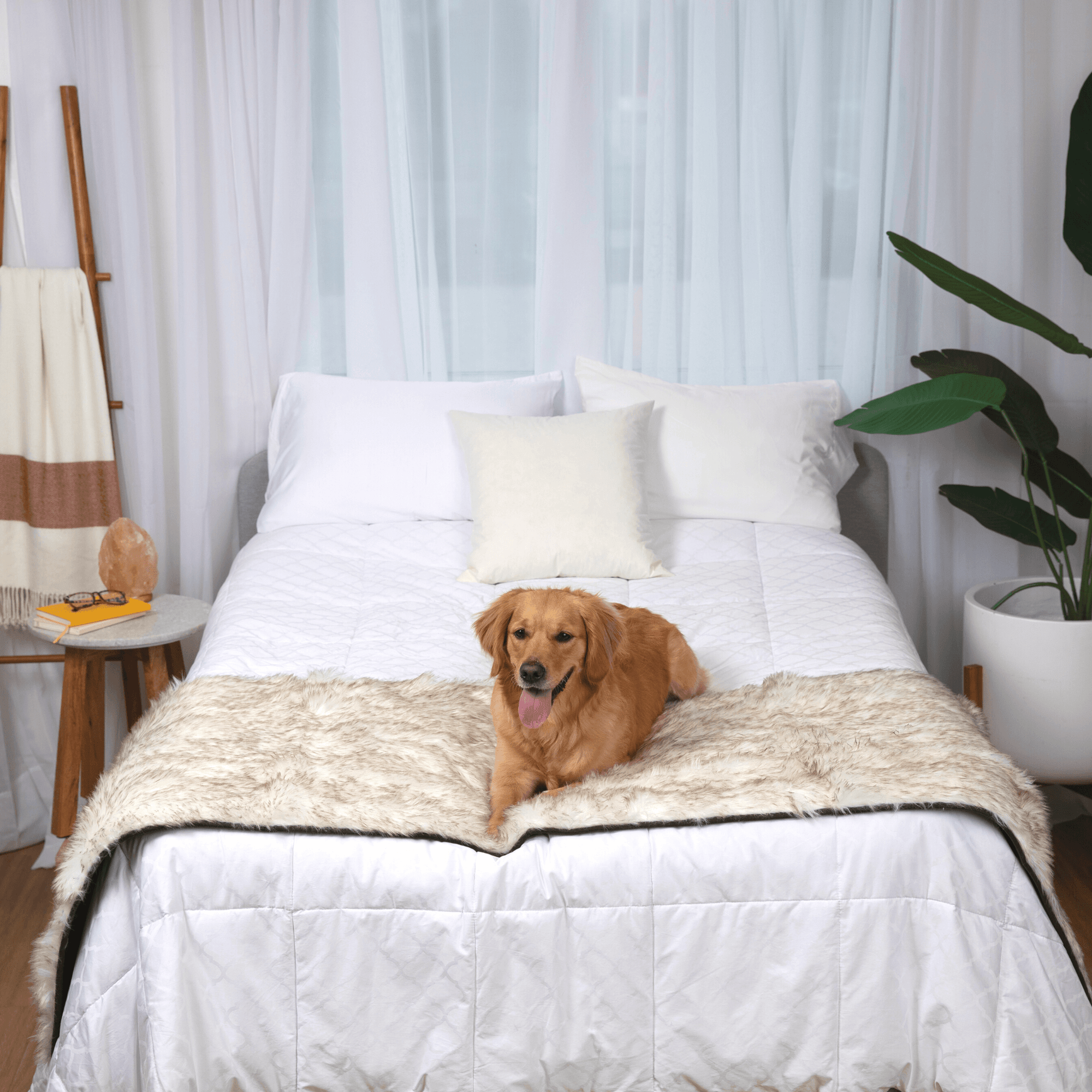 PupProtector Waterproof Bed Runner White with Brown Accents