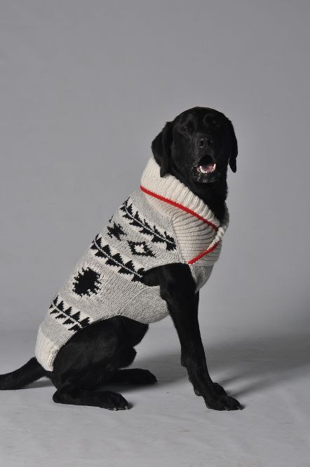 Jackson Dog Sweater