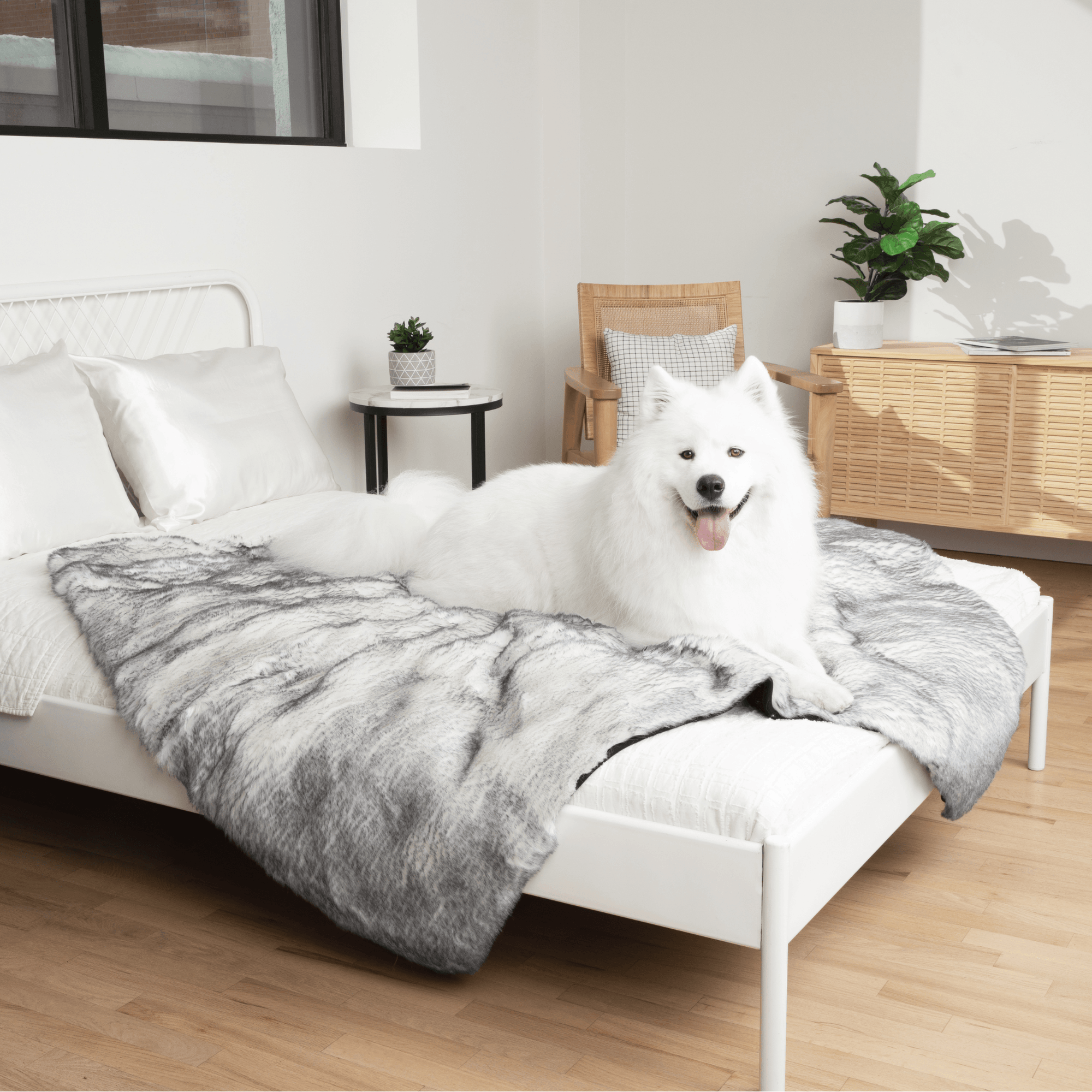 PupProtector Luxe Waterproof Faux Fur Blanket Ultra Plush Arctic Fox 