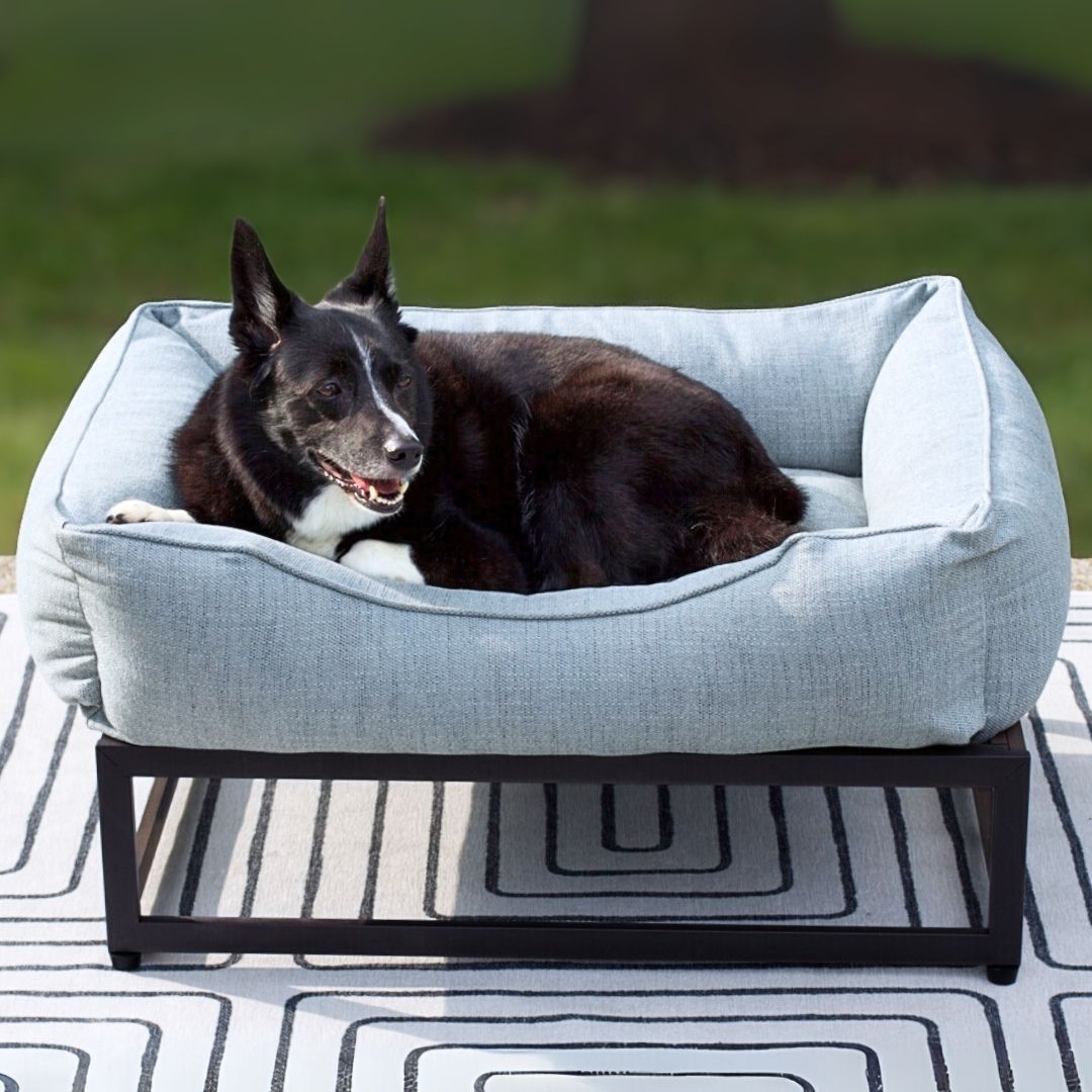 The FUZI Elevated Dog Bed