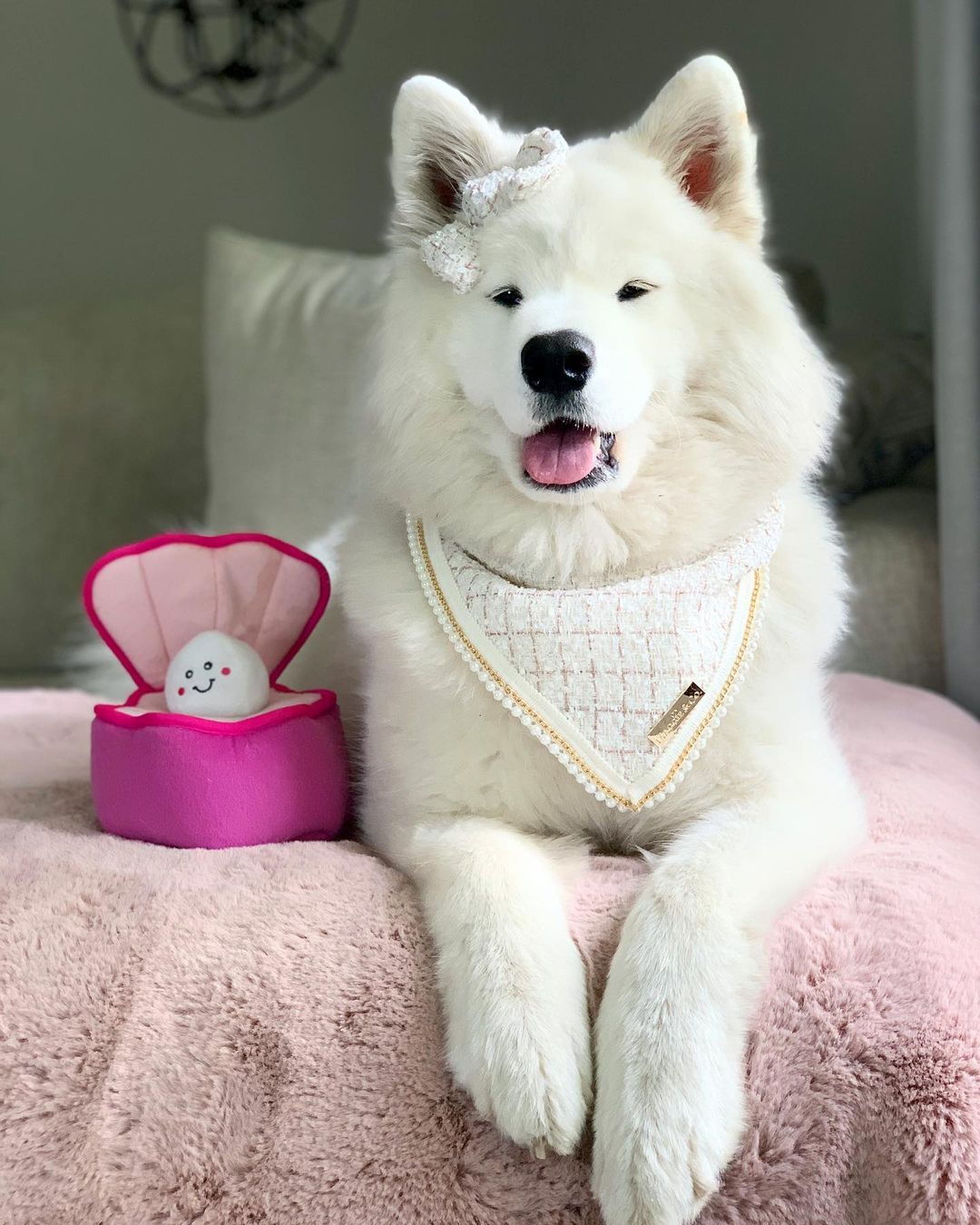 Coco Runway: Mademoiselle Coco Bandana