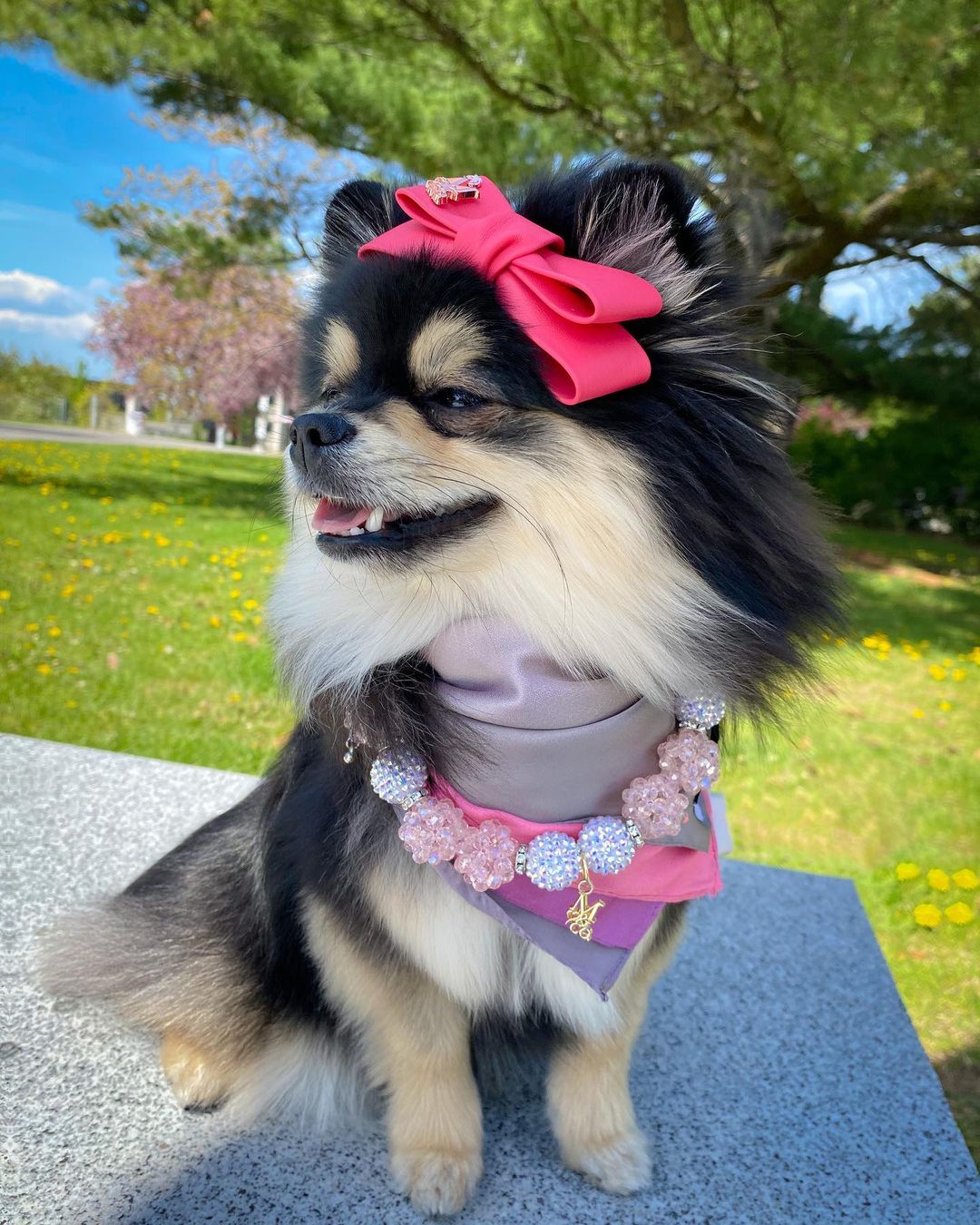 Necklace: MissDior