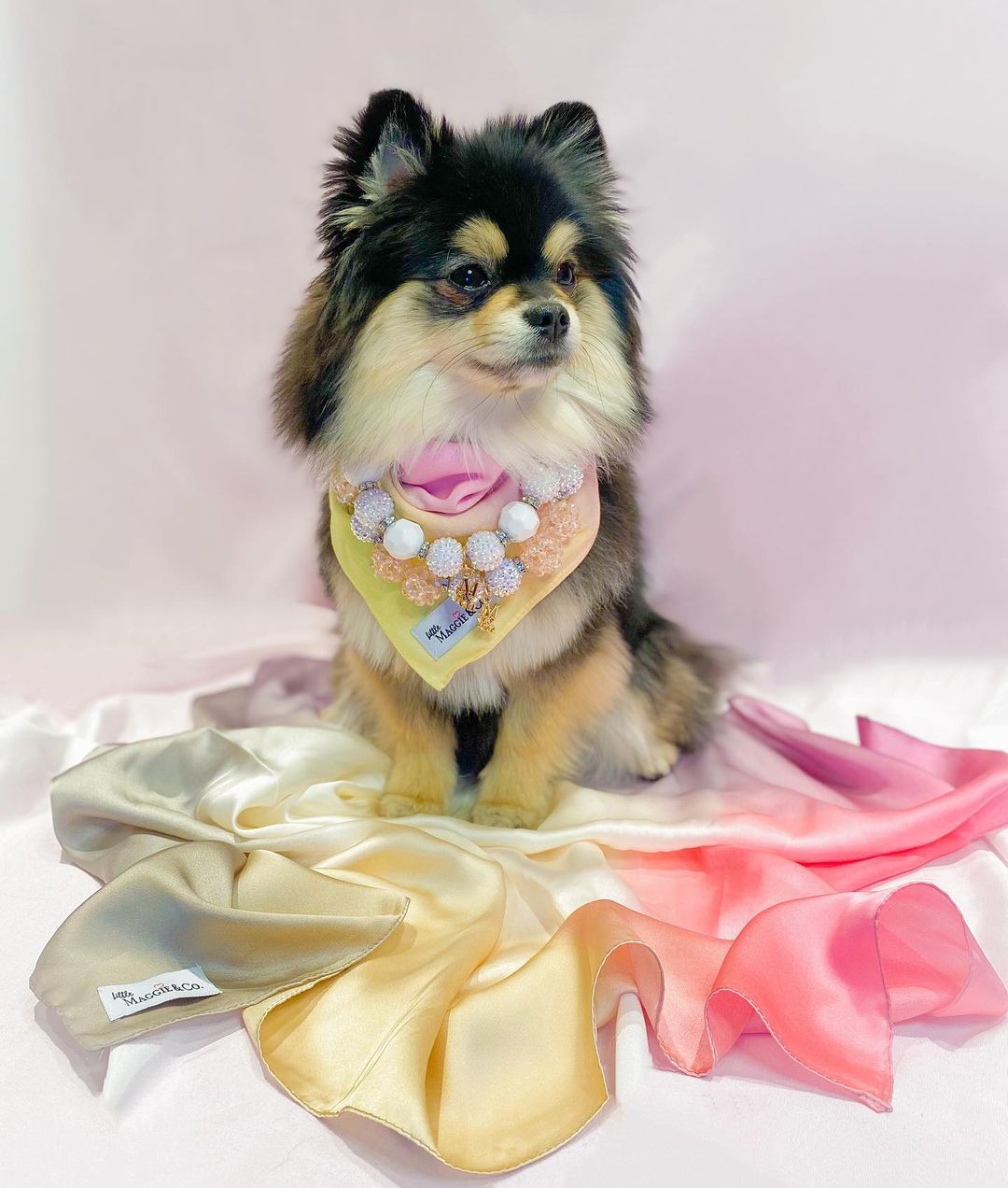 Necklace: Casablanca