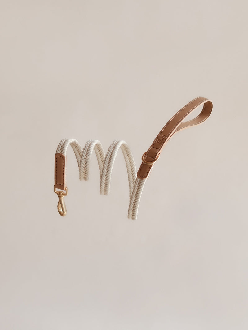 Lilco Braided-Leash | Moonbeam