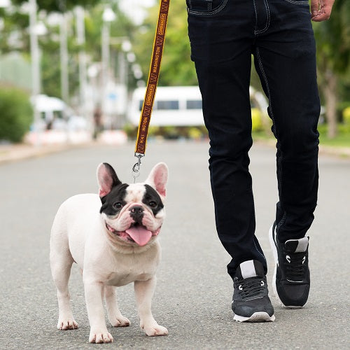 Washington Commanders Satin Ribbon Leash - HT Animal Supply