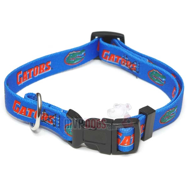 NCAA Florida Gators Dog Collar by Hunter
