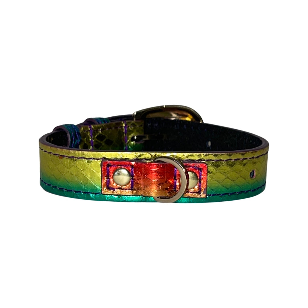 Allysa Payne XS/S 7"-14" Yellow/Green/Red Custom Snake Dog Collar/Custom Gold Italian Hardware