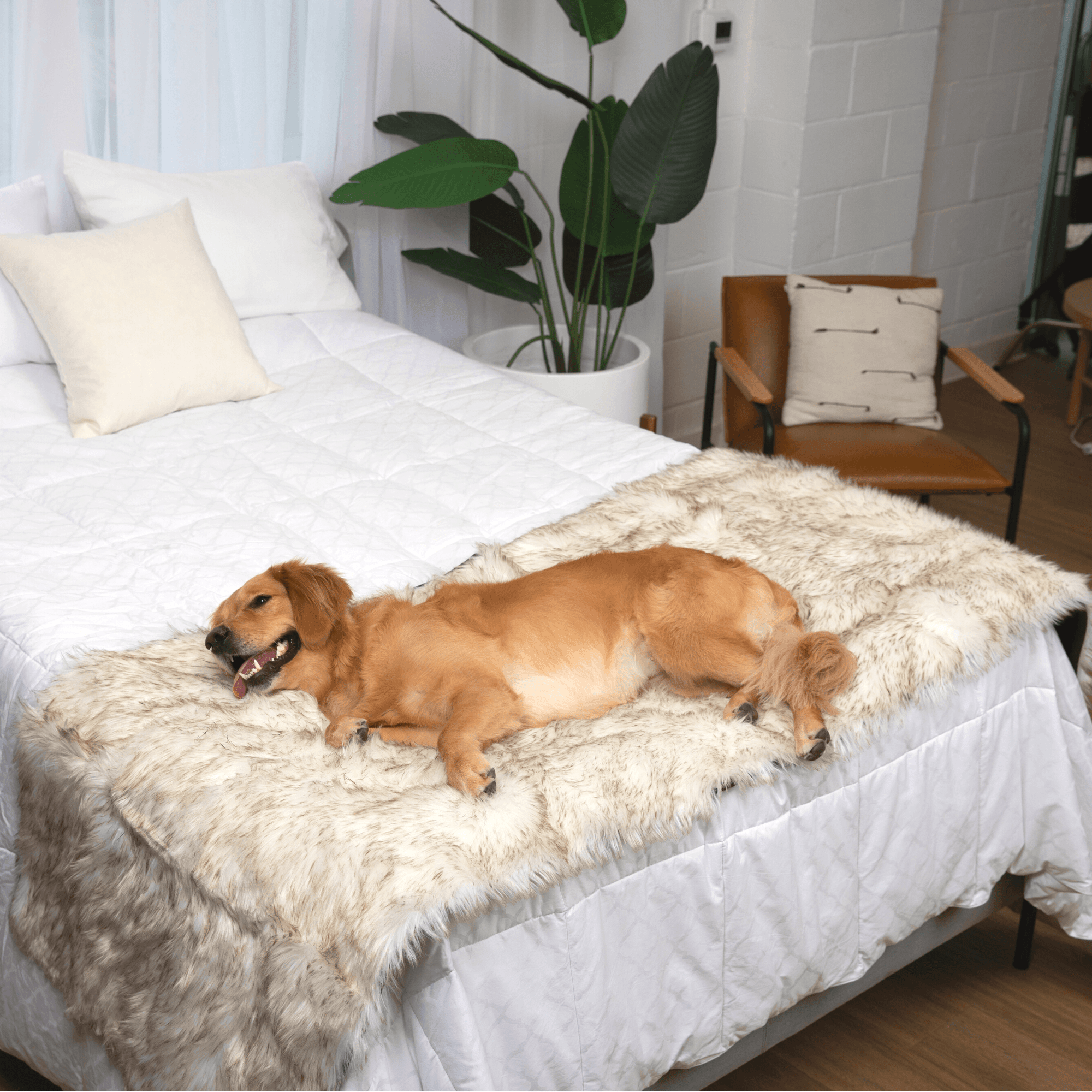 PupProtector Waterproof Bed Runner White with Brown Accents