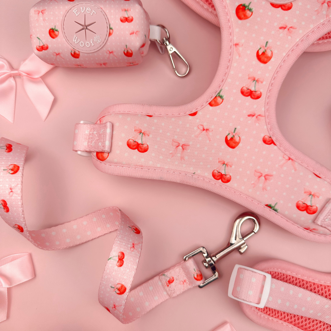 Sweet Cherie Leash