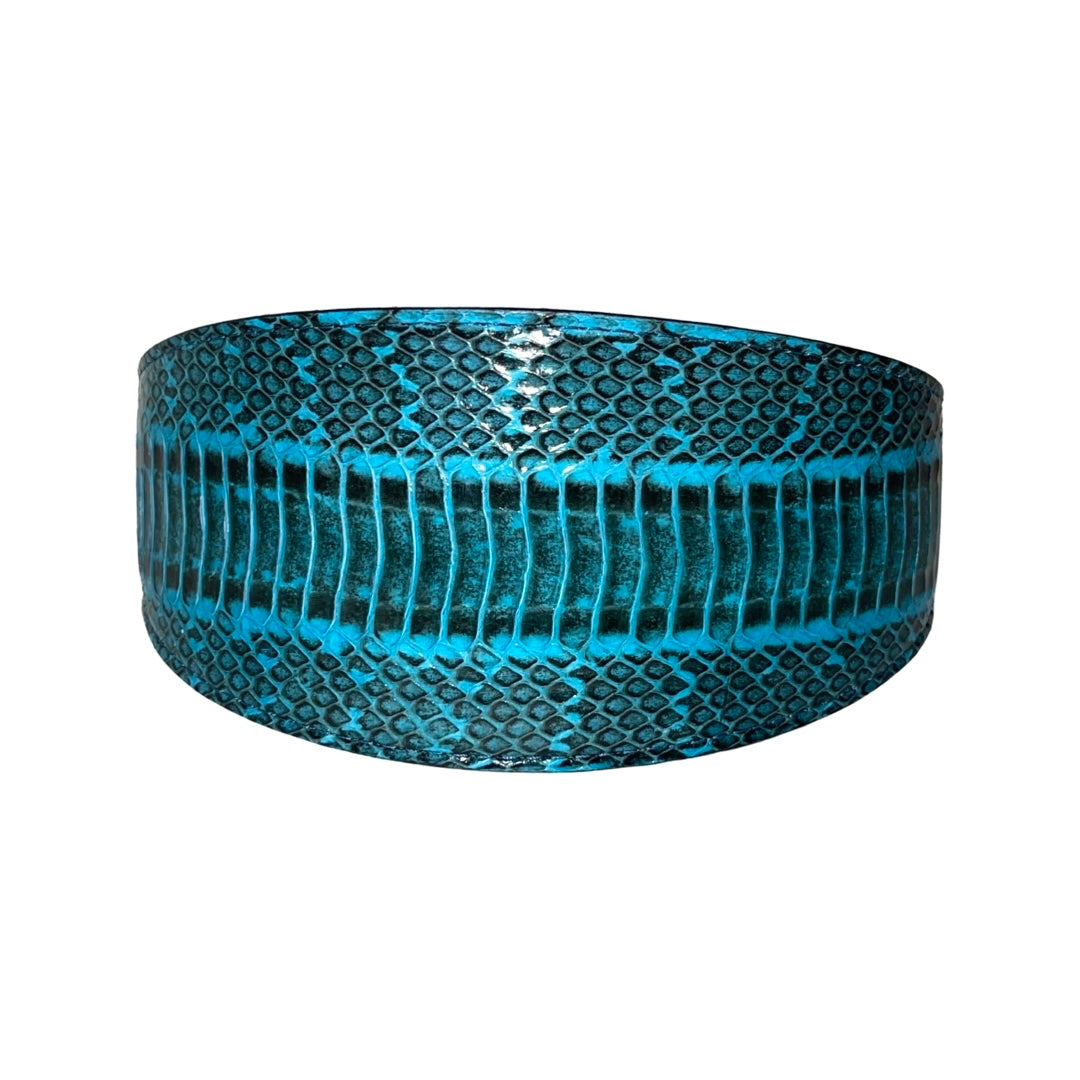 Turquoise & Black 3” Wide Style Collar