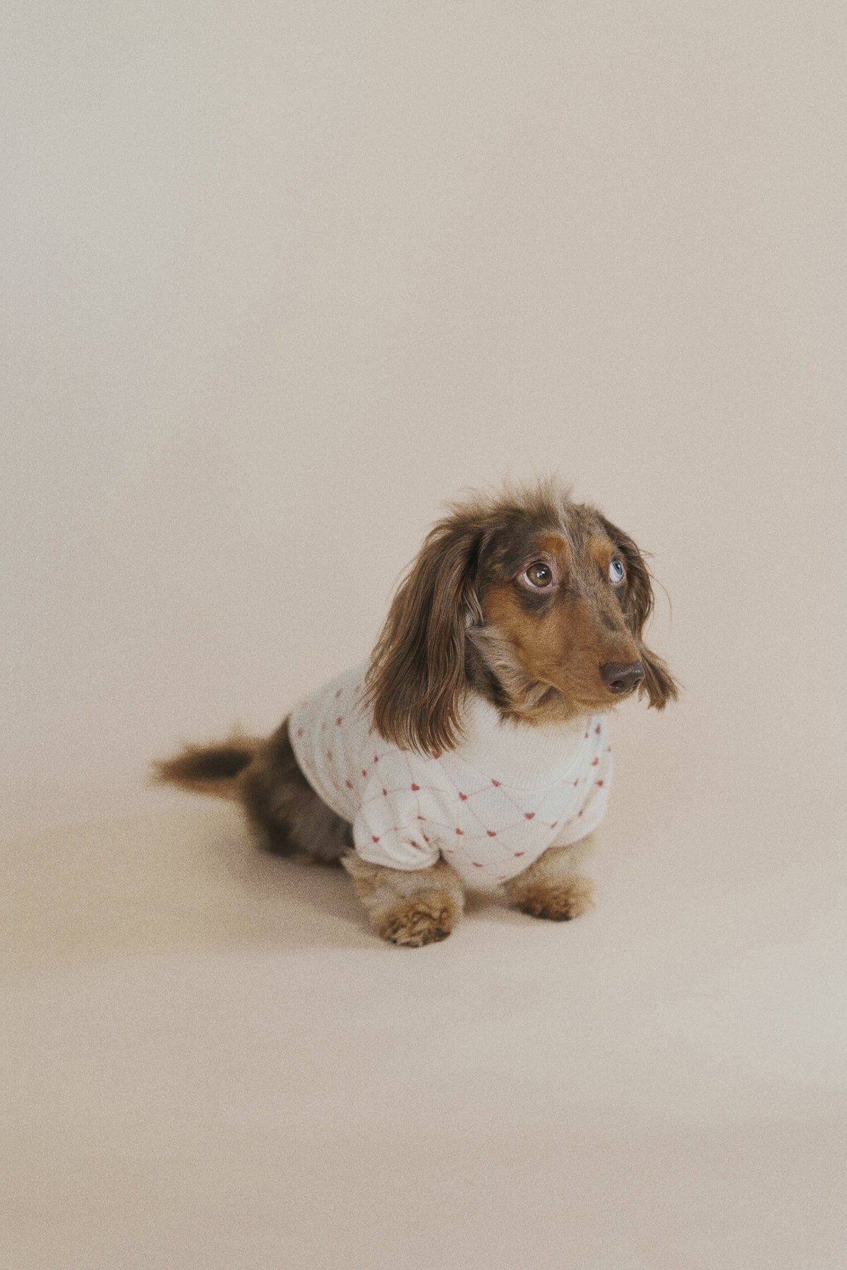 Xoxo sweater