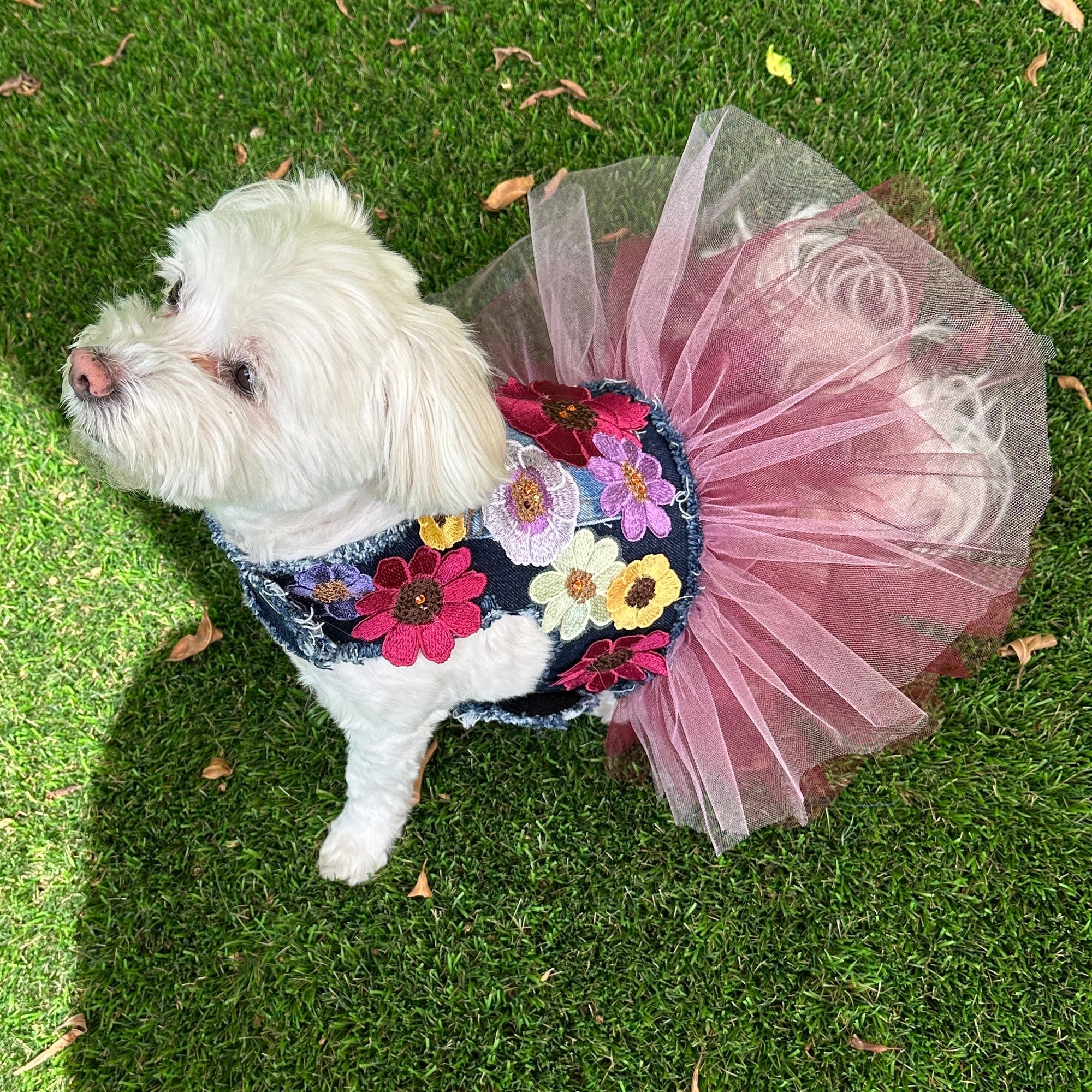 Heads or Tails Pup Plum Prosecco Bouquet Denim Dog Dress