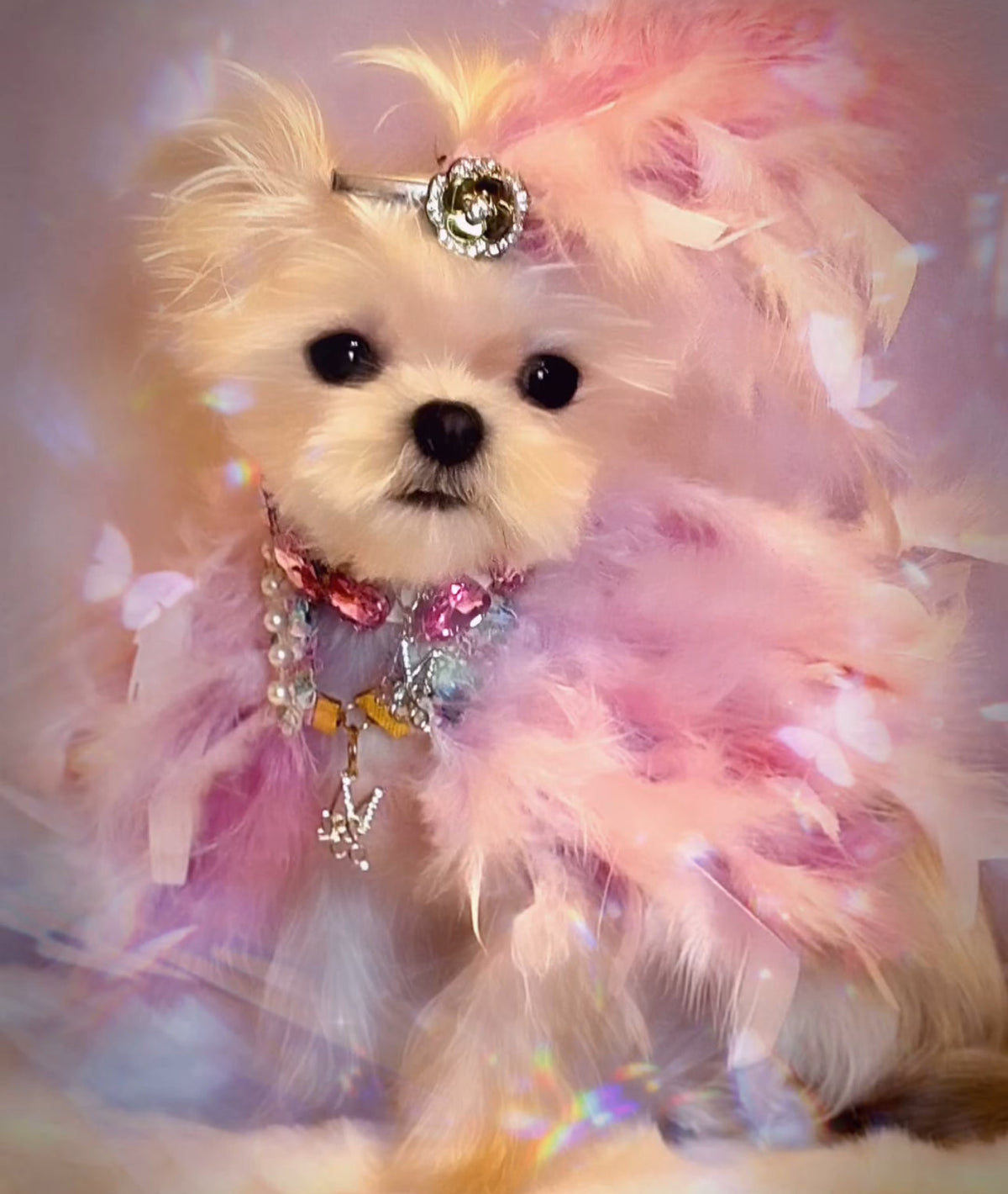 Haute: Whimsical*