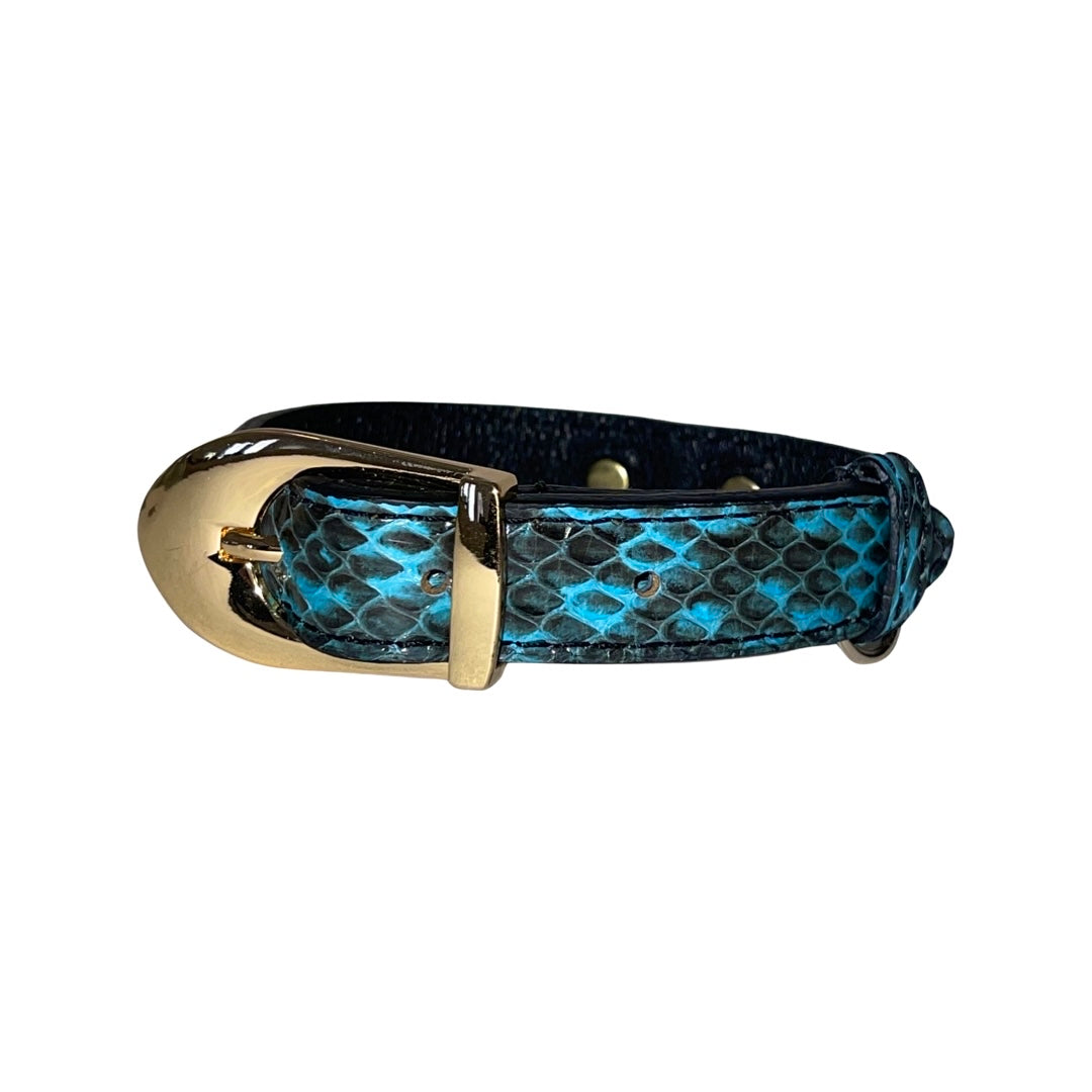 Allysa Payne XS/S 7"-14" Turquoise & Black Custom Snake Dog Collar/Custom Gold Italian Hardware