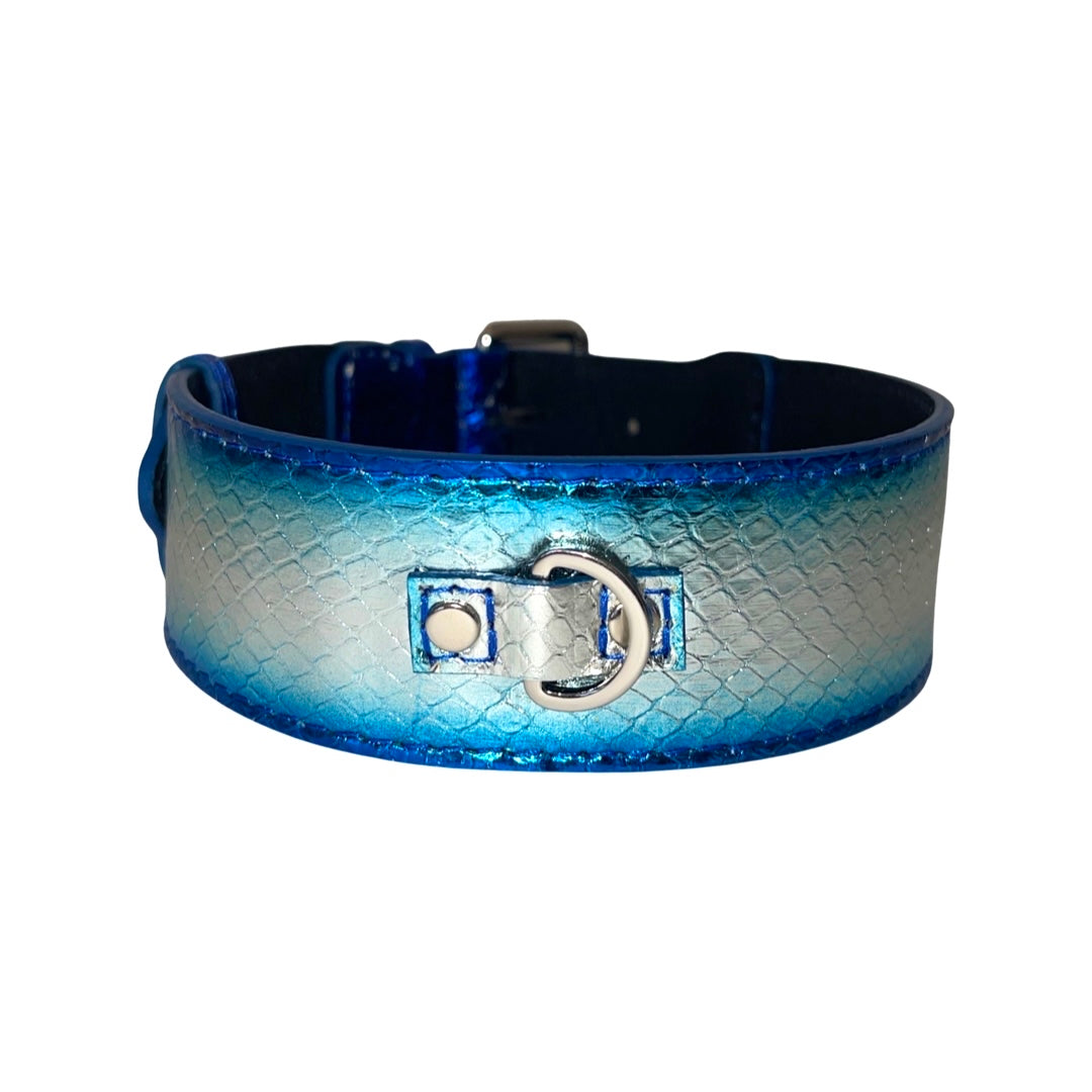 Allysa Payne Multi-Tone Blue & Silver Snake Classic Dog Collar