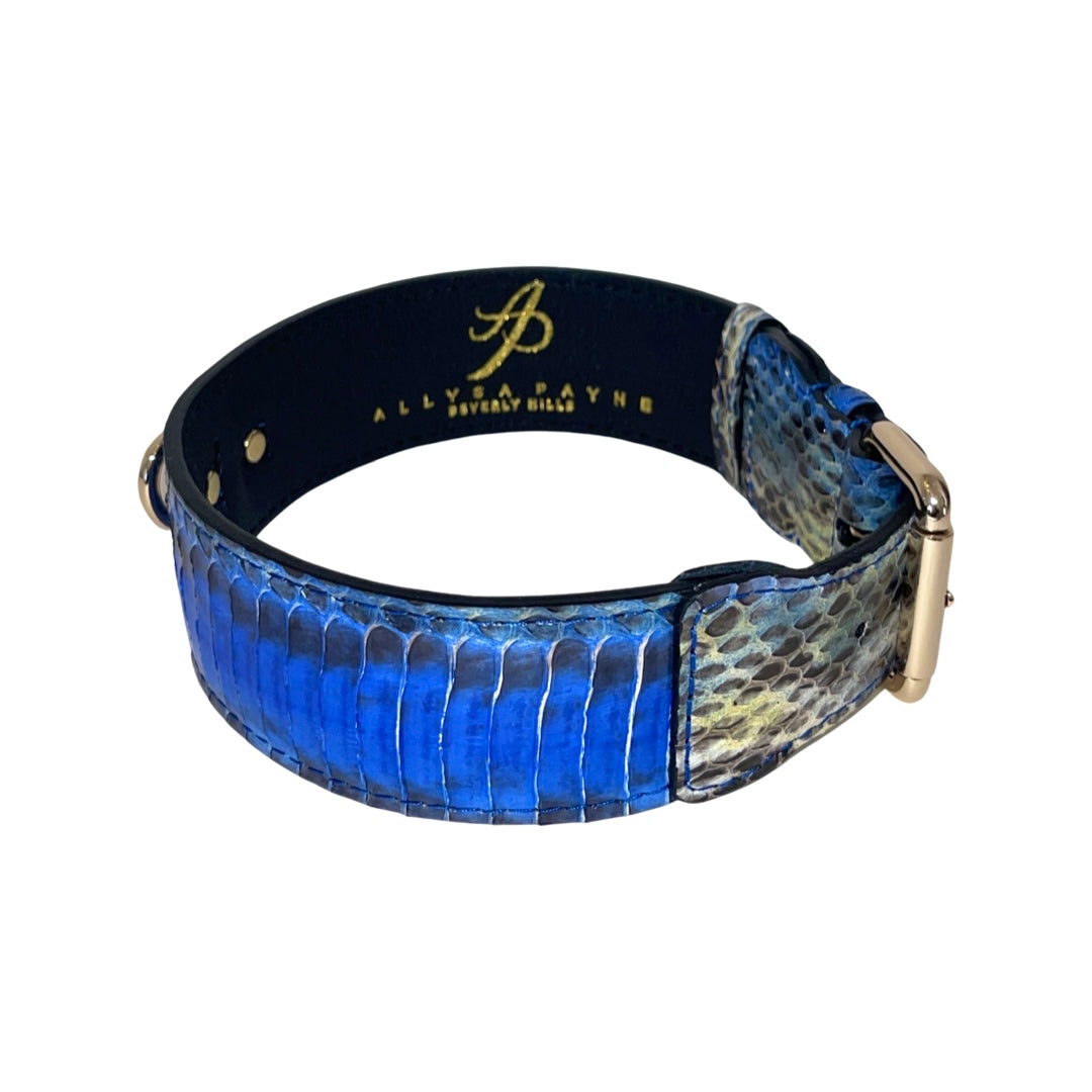 Allysa Payne Multi-Blue Tone Snake Classic Dog Collar