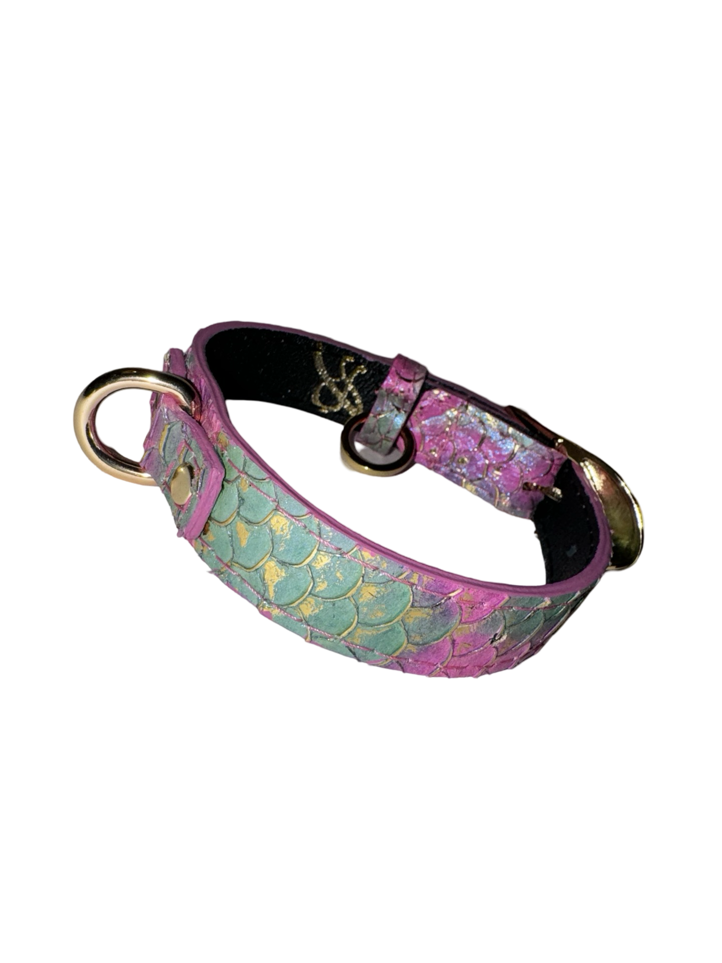 Allysa Payne Mermaid Collection XS Dog Collar