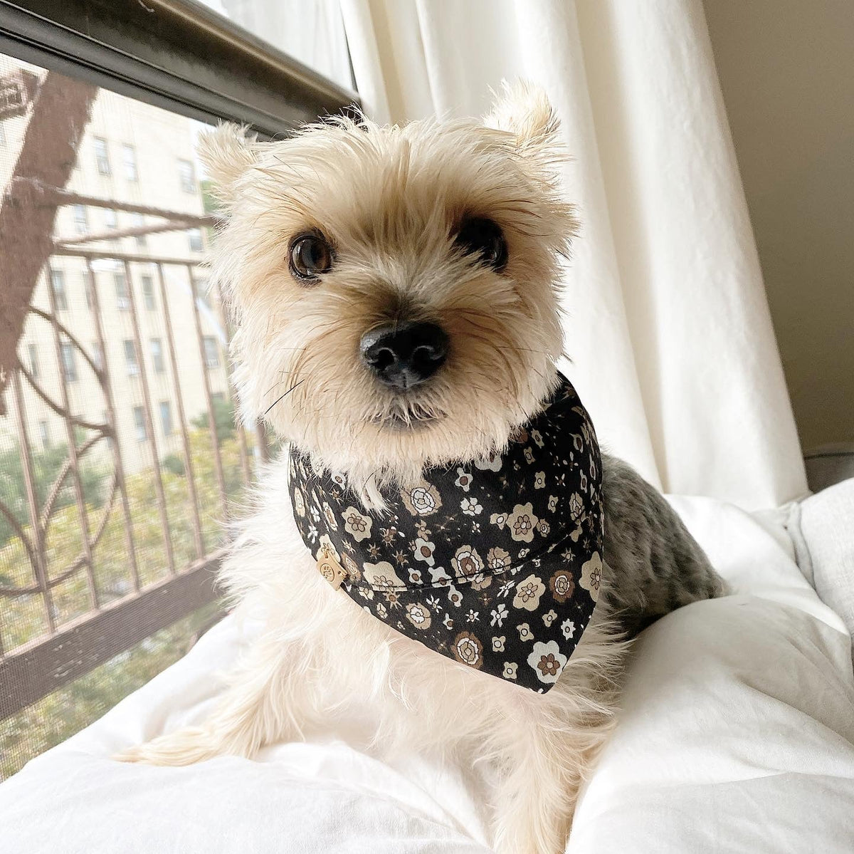BESPOKE PAWS Avery Reversible Pet - Cotton Adjustable Comfort Breathable BANDANA