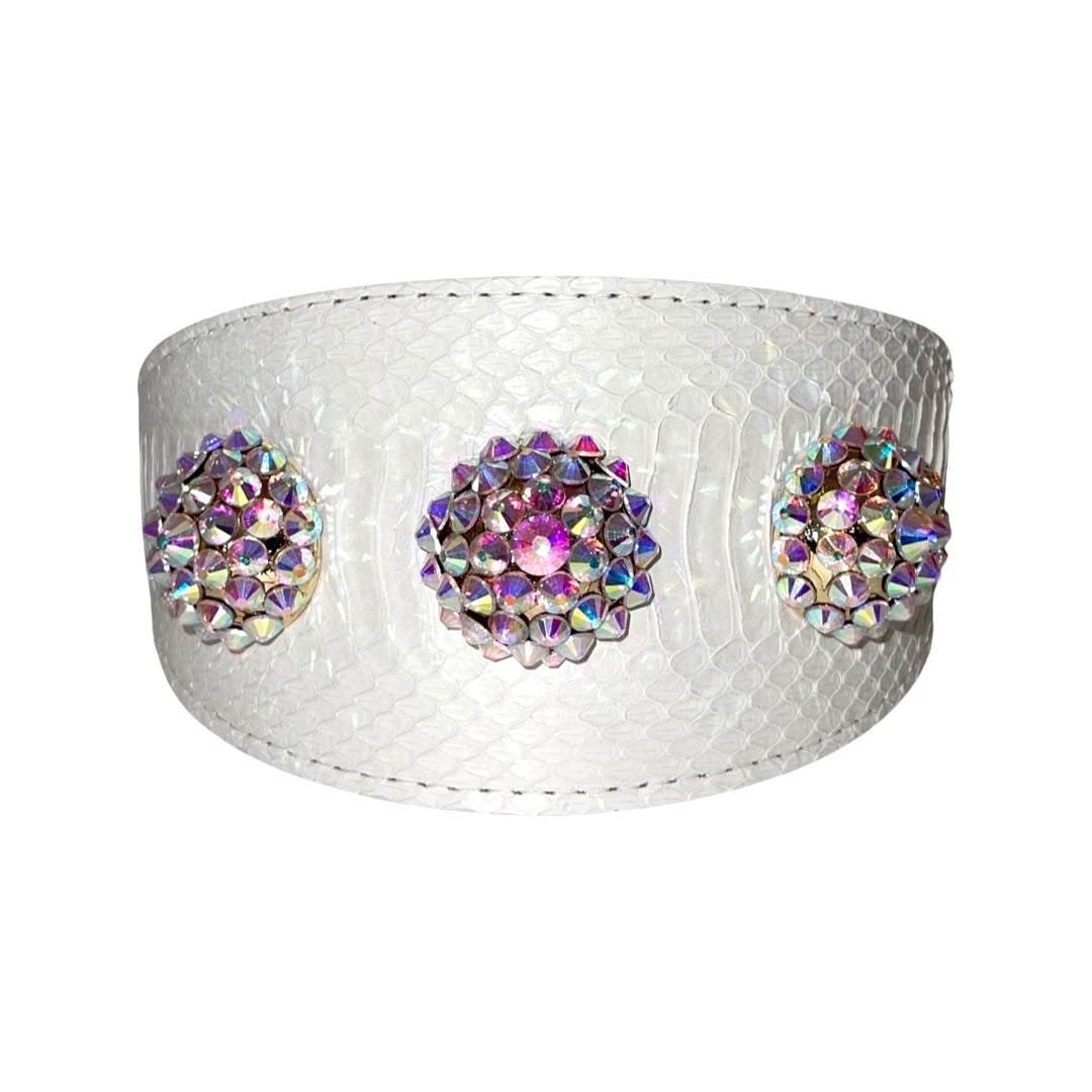 Allysa Payne Matte White 3-Inch Wide Style , With Our Custom Swarovski Rivets Dog Collar & Leash Set