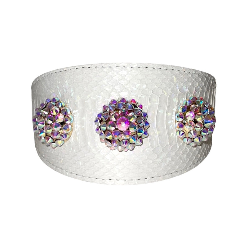 Allysa Payne Matte White 3-Inch Wide Style , With Our Custom Swarovski Rivets Dog Collar & Leash Set