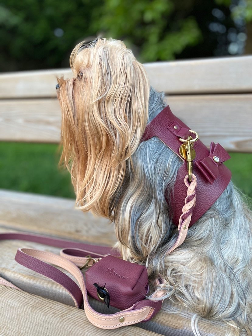 Harness - Luscious Bow