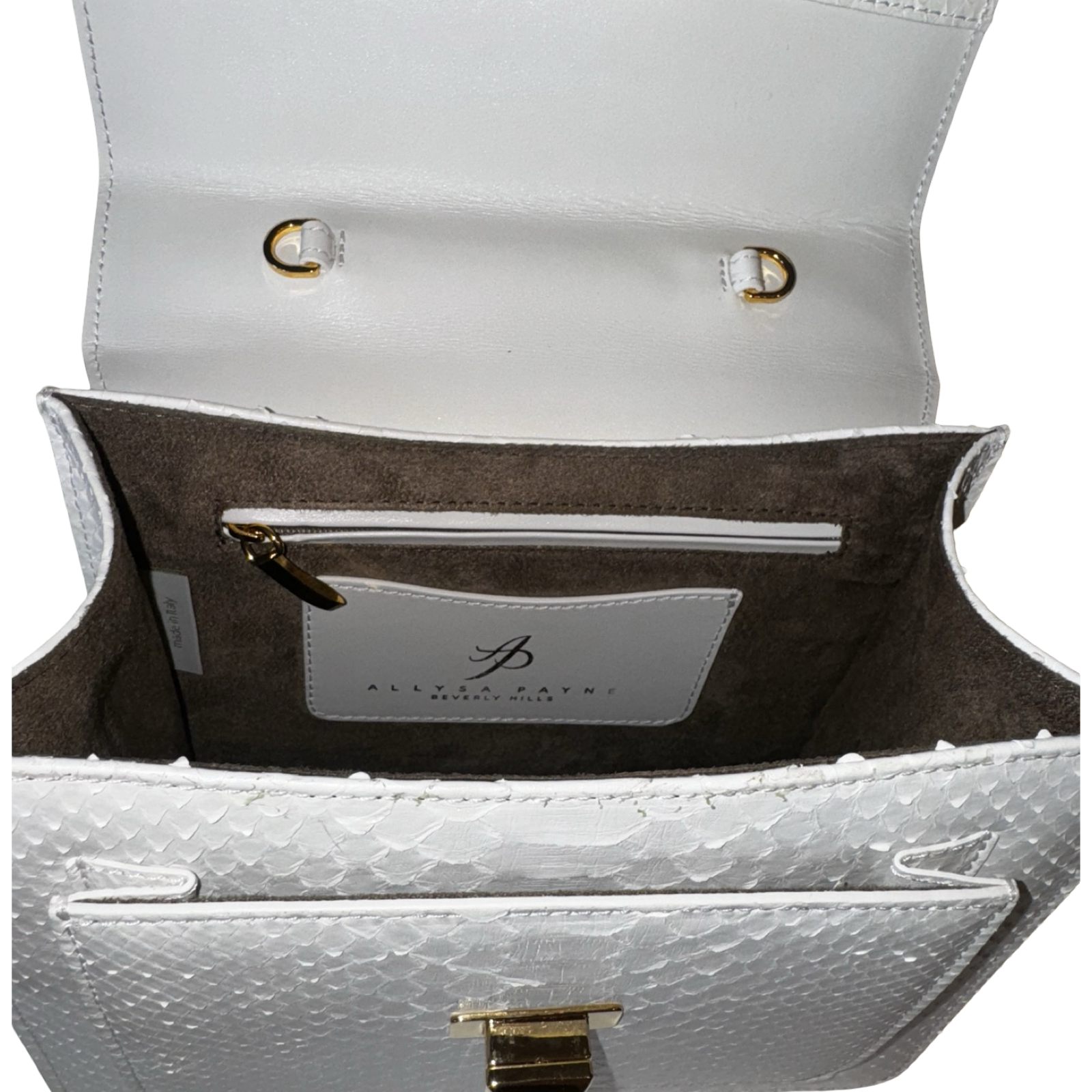 Allysa Payne Cosmo Horse Handle Handbag In Iridescent White Python
