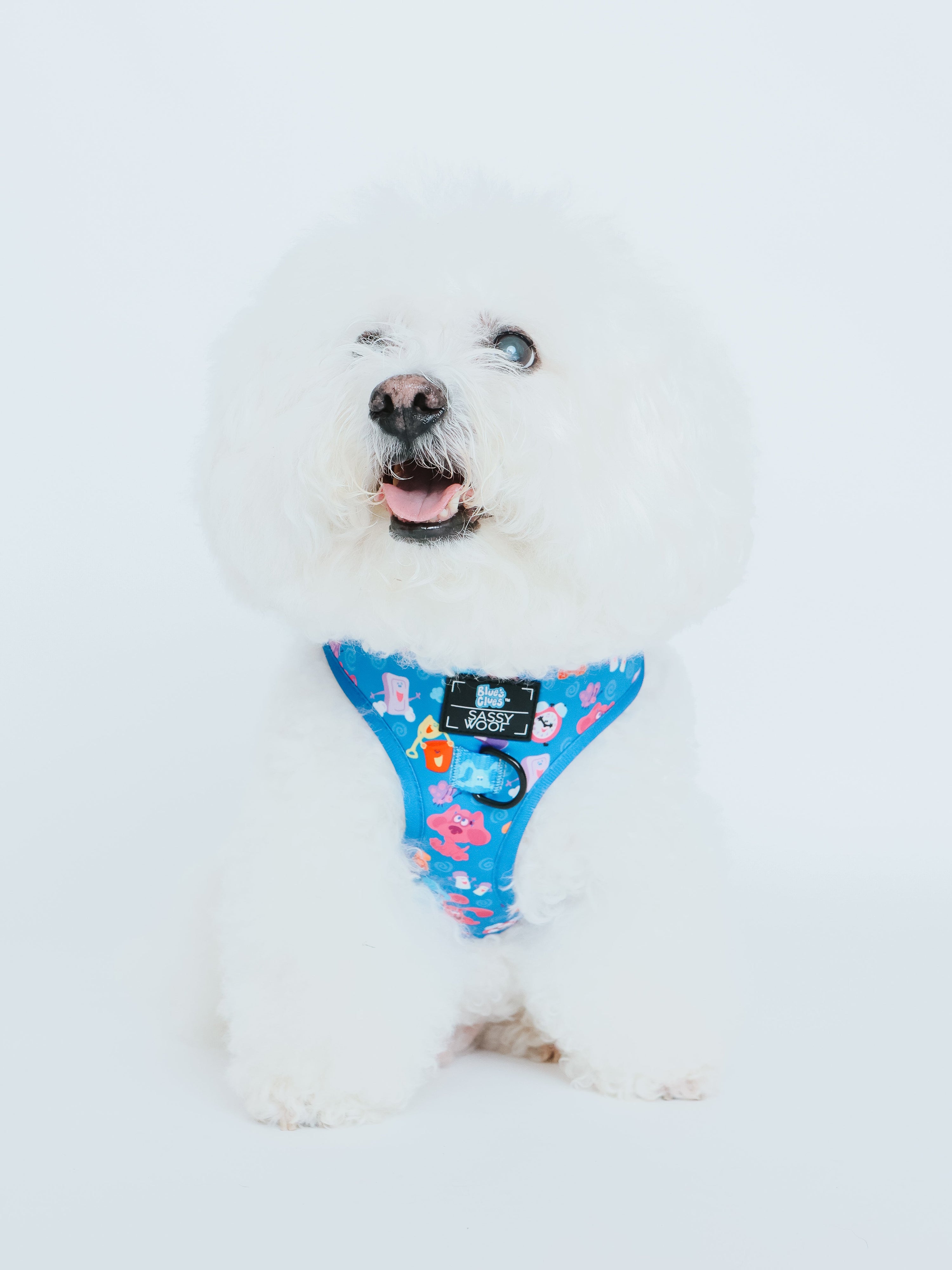 Dog Adjustable Harness - Blues Clues™
