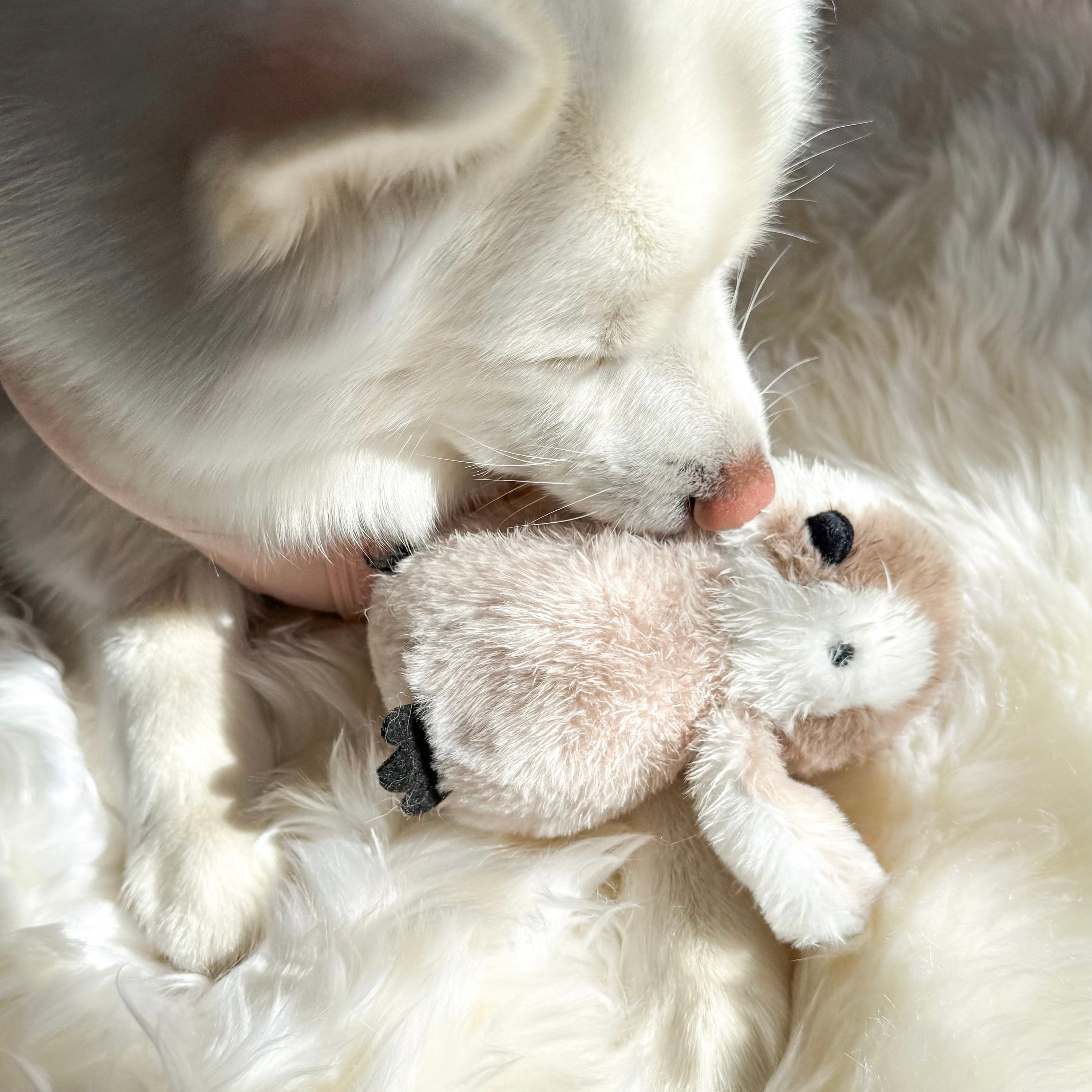 Pegy Mini Plushie